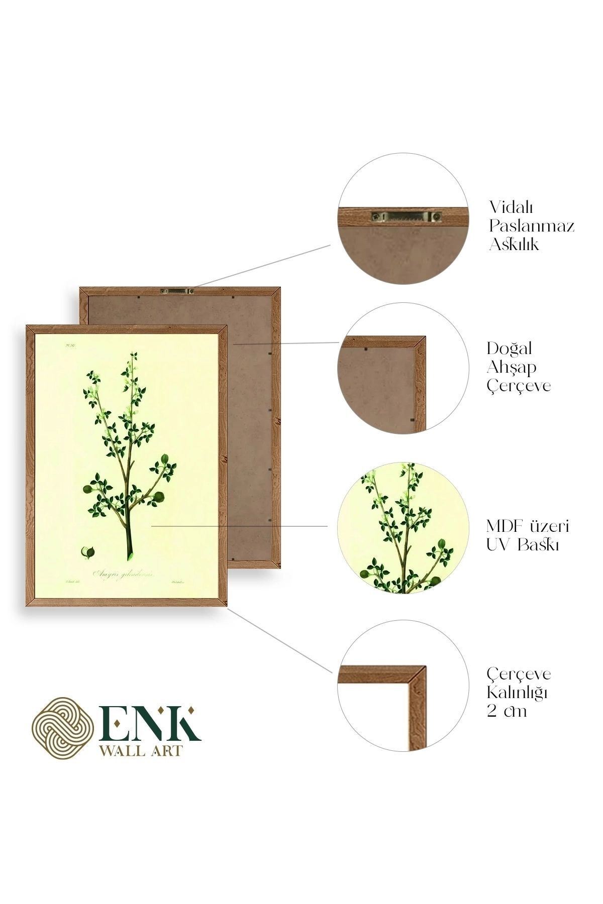 Yapraklar Ahşap Çerçeveli Tablo 17 x 23