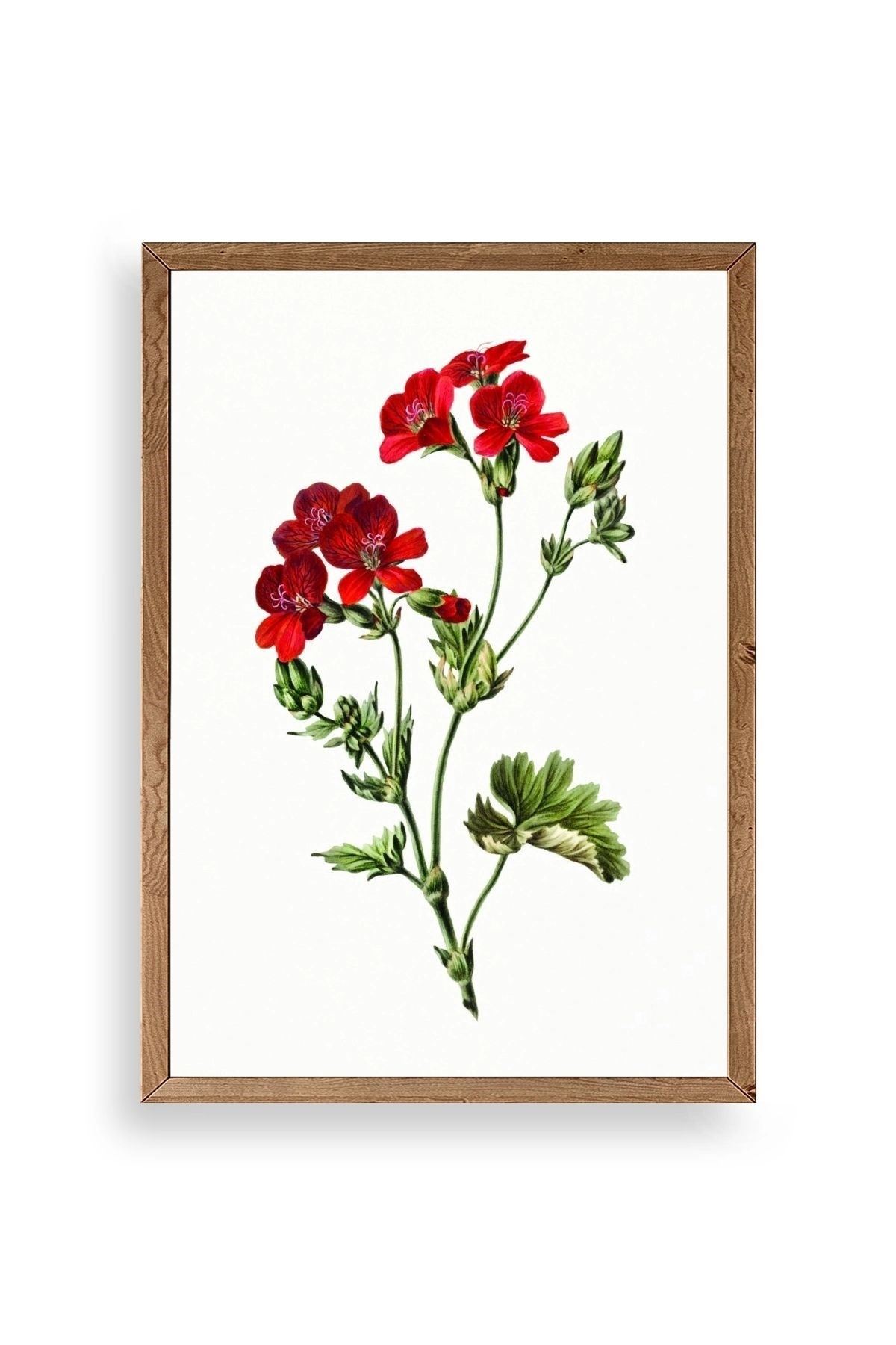 Çiçekler Ahşap Çerçeveli Tablo 50 x 70