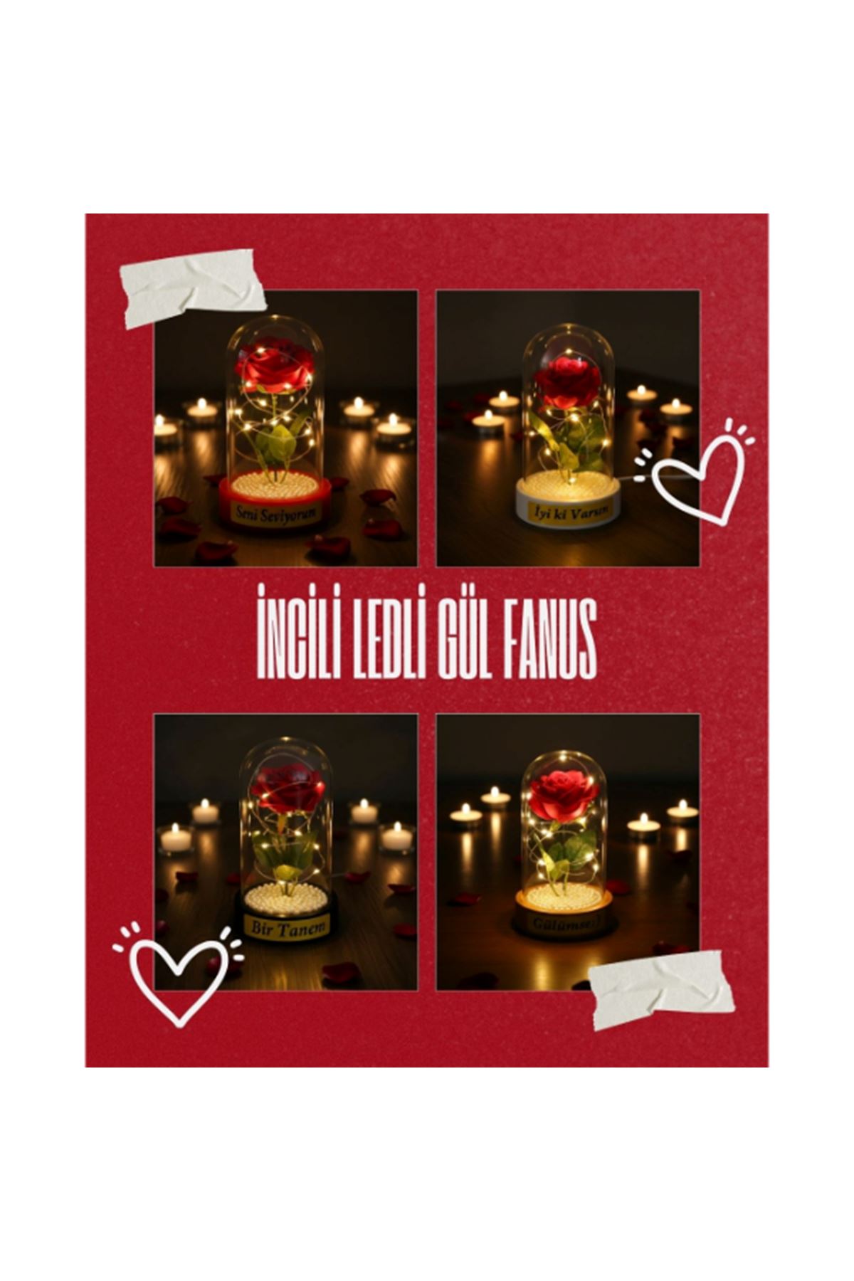 İncili Ledli Gül Fanus