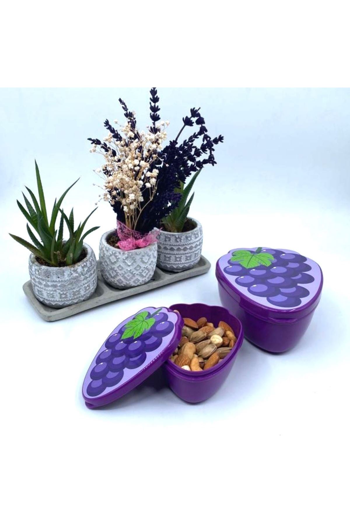 TBL Dekor® 2'li İç İçe Geçebilen Üzüm Model Saklama ve Beslenme Kabı Seti (550 ml + 250 ml)