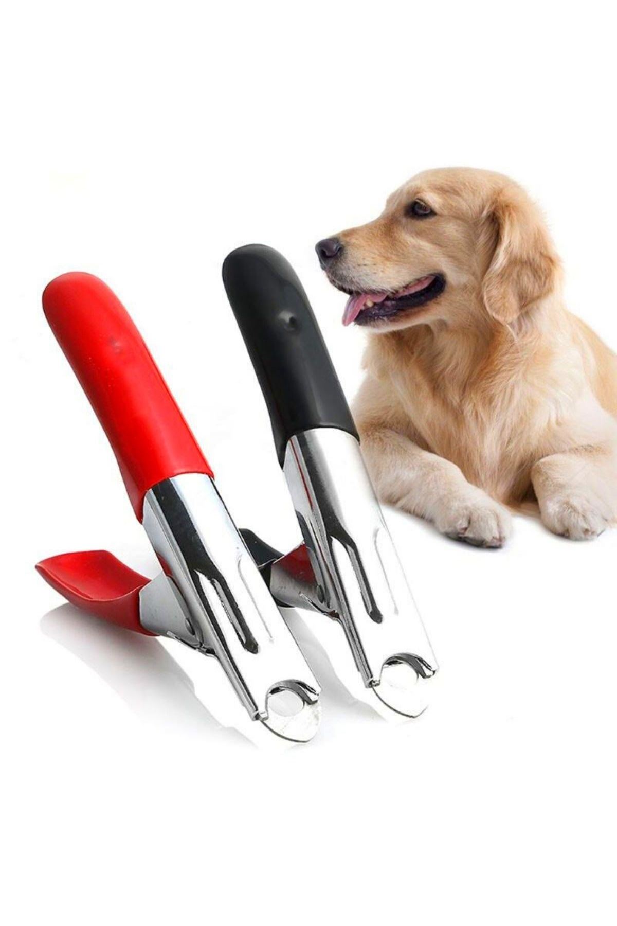 TBL Dekor® Evcil Hayvanlarınız İçin Tırnak Makası