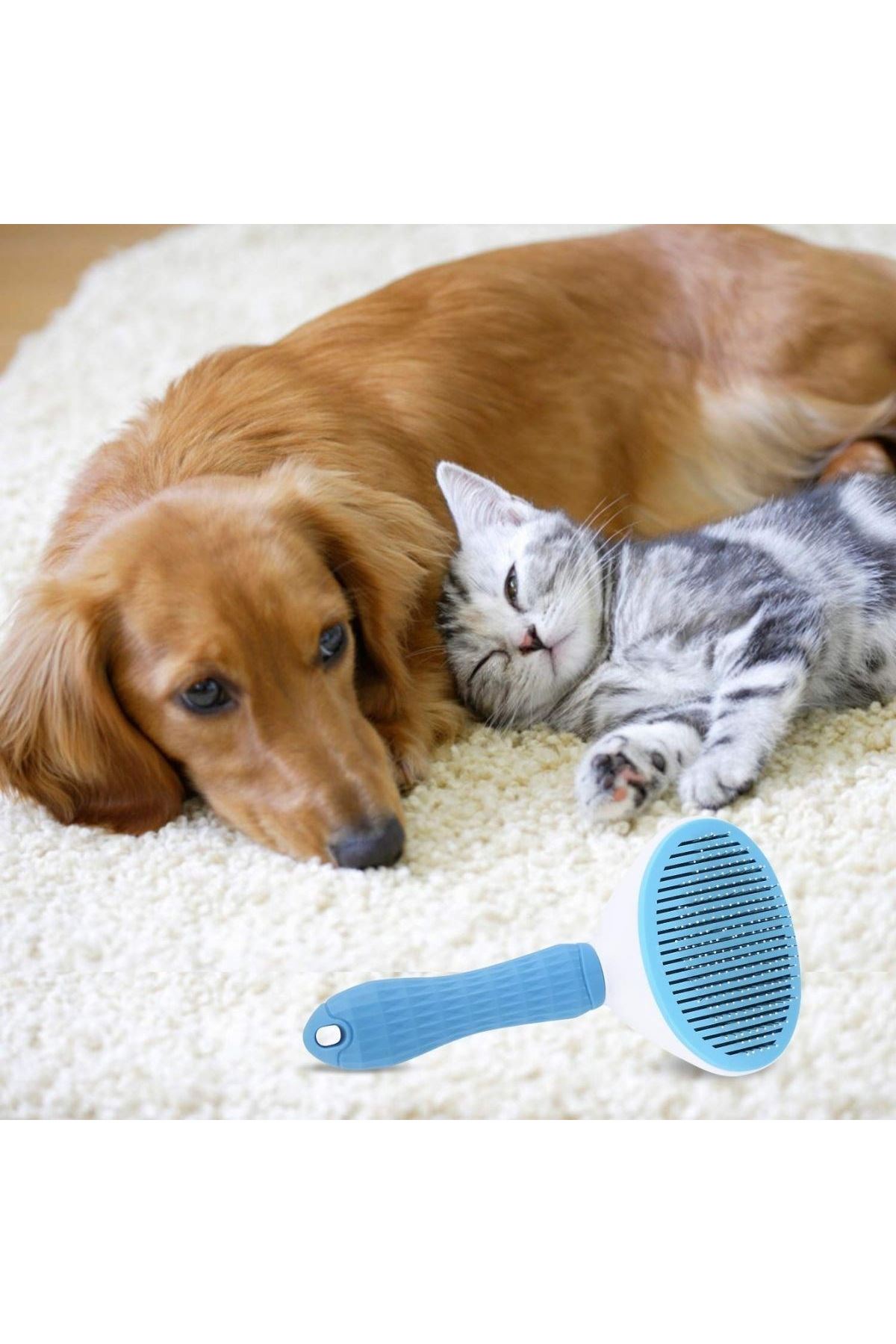 TBL Dekor® Kedi Köpek Tüy Toplayıcı Kendini Temizleyebilen Ergonomik Saplı Evcil Hayvan Tarağı Mavi