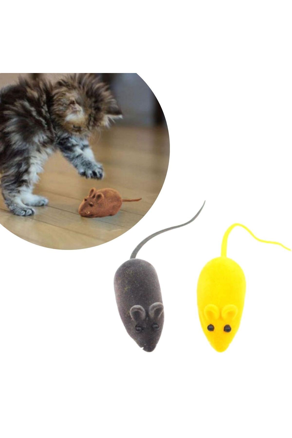 TBL Dekor® 2li Evcil Hayvan Eğitim Sevimli Elastik Kedi Fare Yakalama İnteraktif Sesli Eğitim Oyuncağı