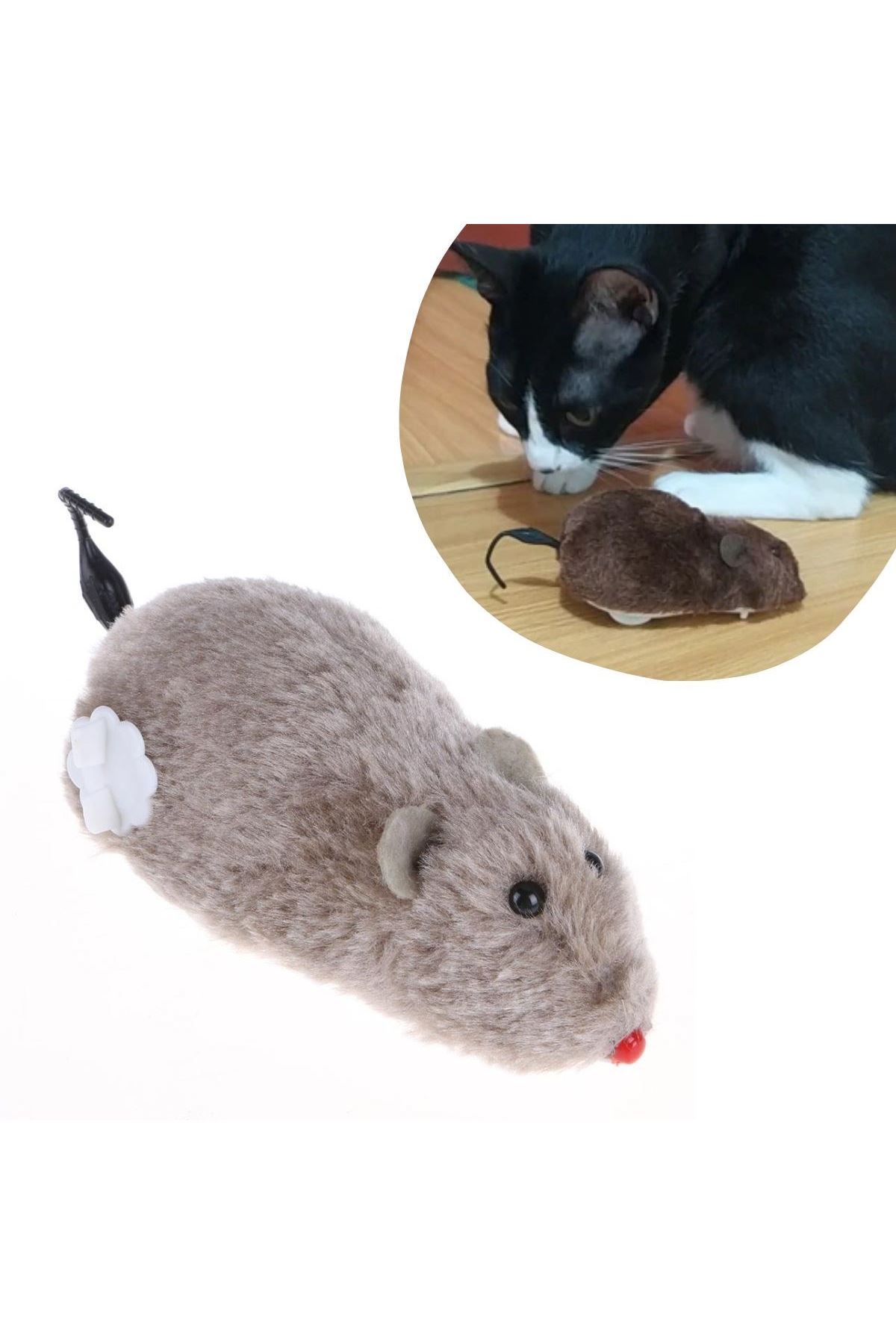 TBL Dekor® Kurmalı Kedi Eğitim Oyuncağı Tüylü Peluş Fare Yakalama İnteraktif Sevimli Eğlenceli Oyuncak