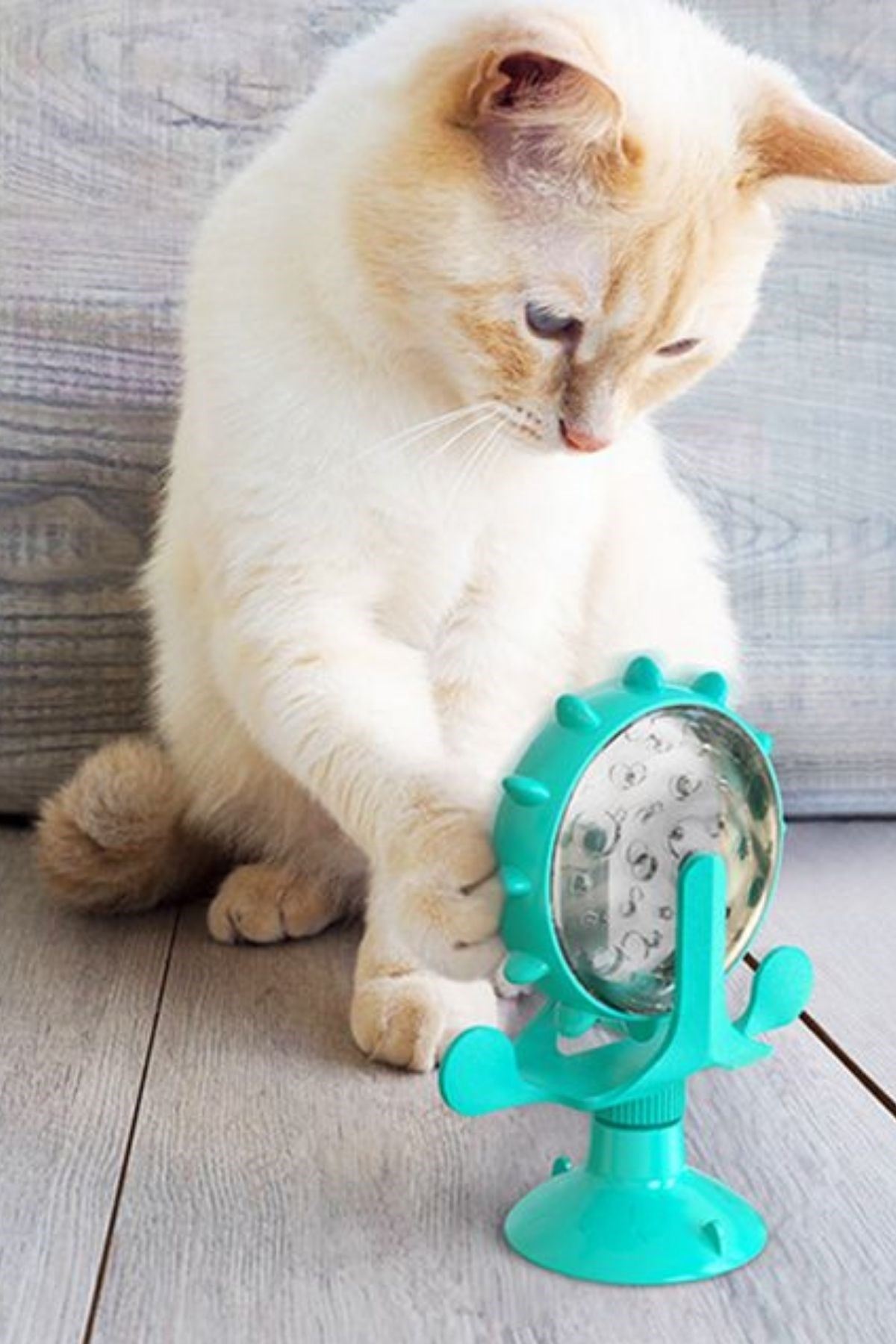 TBL Dekor® Vantuzlu Zilli İnteraktif Dönebilen Mama Kaplı Renkli Eğlenceli Eğitici Kedi Oyuncağı