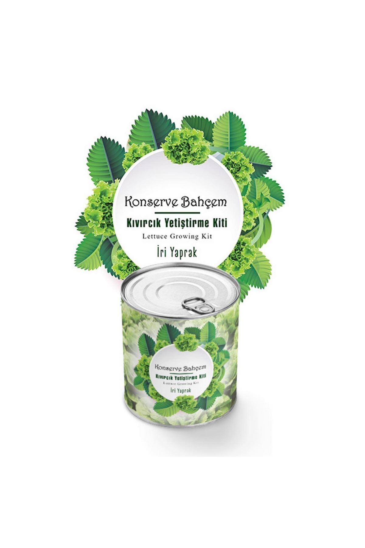 TBL Dekor® Konserve Bahçem Evde Konservede İri Yapraklı Kıvırcık Yetiştirme Kiti