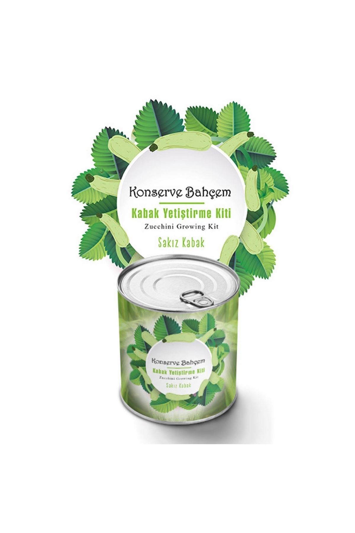 TBL Dekor® Konserve Bahçem Evde Konservede Sakız Kabak Yetiştirme Kiti