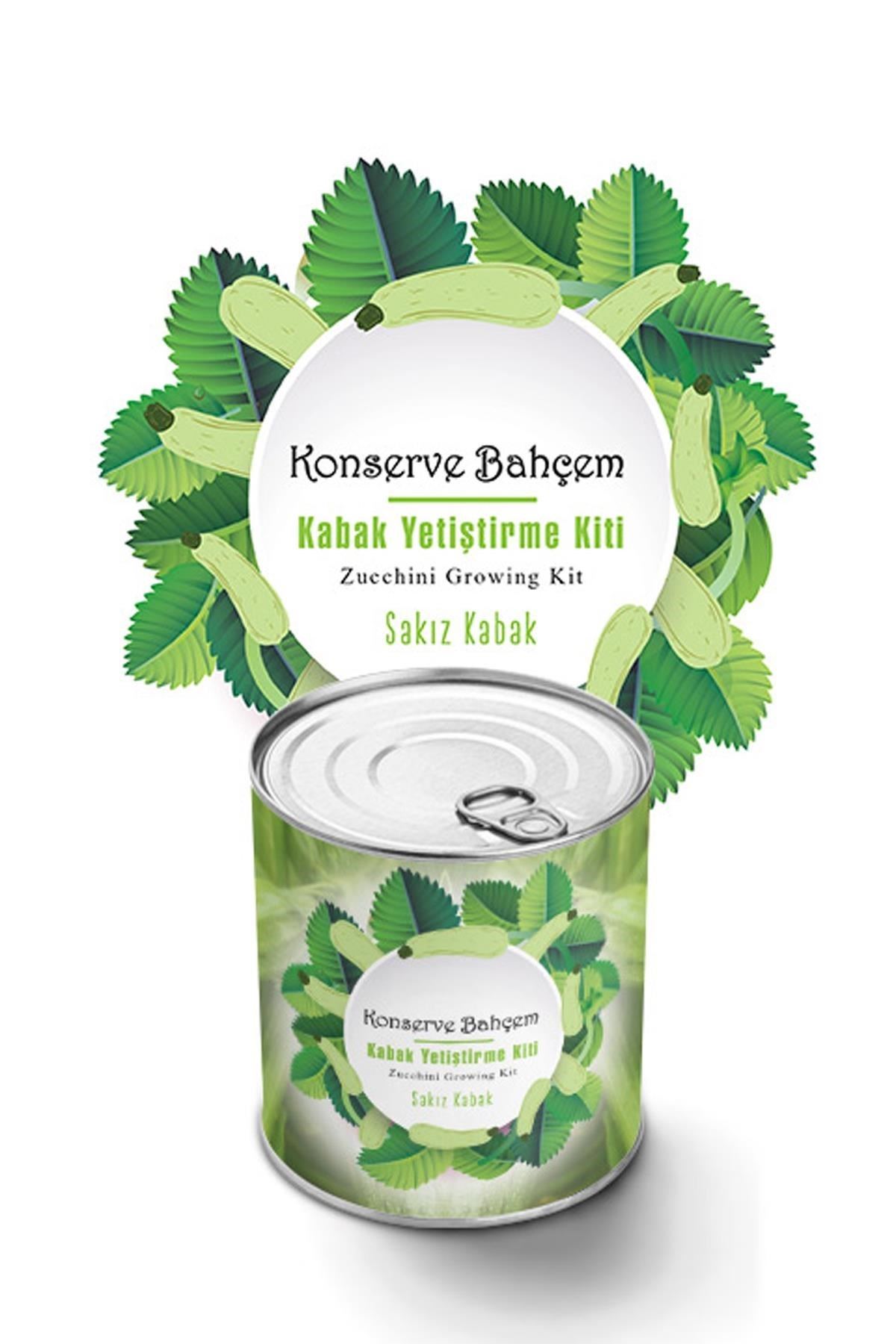 TBL Dekor® Konserve Bahçem Evde Konservede Sakız Kabak Yetiştirme Kiti