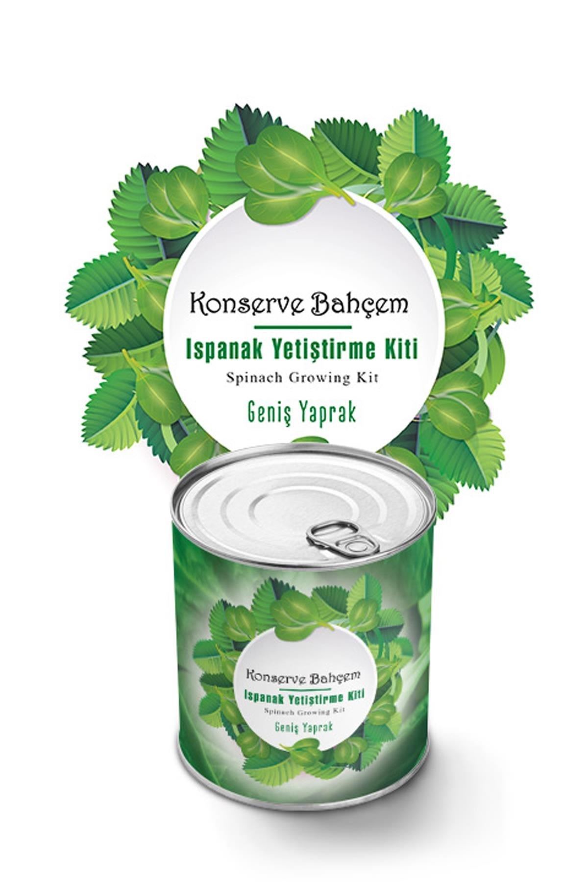 TBL Dekor® Konserve Bahçem Evde Konservede Kolay Ispanak Yetiştirme Kiti