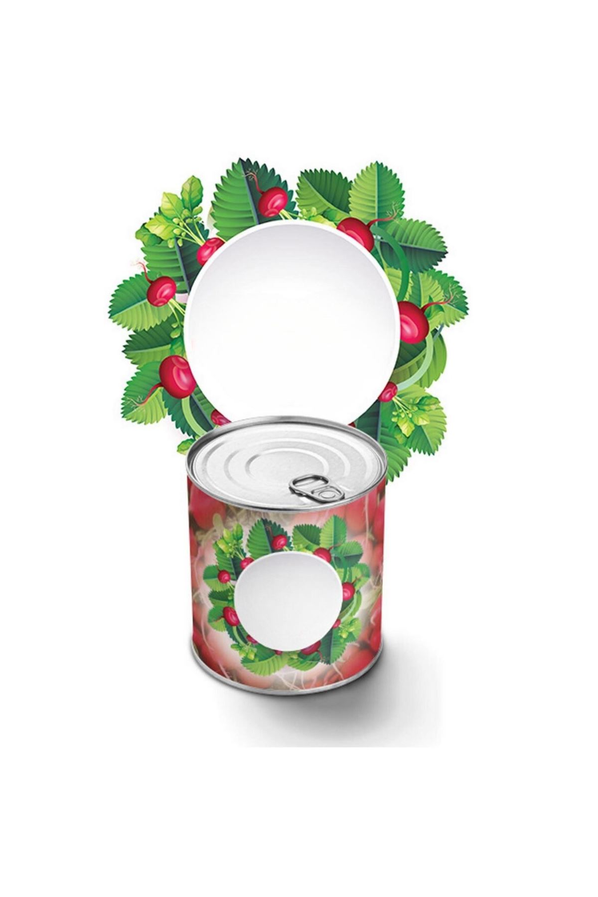 TBL Dekor® Konserve Bahçem Evde Konservede Fındık Turp Yetiştirme Kiti