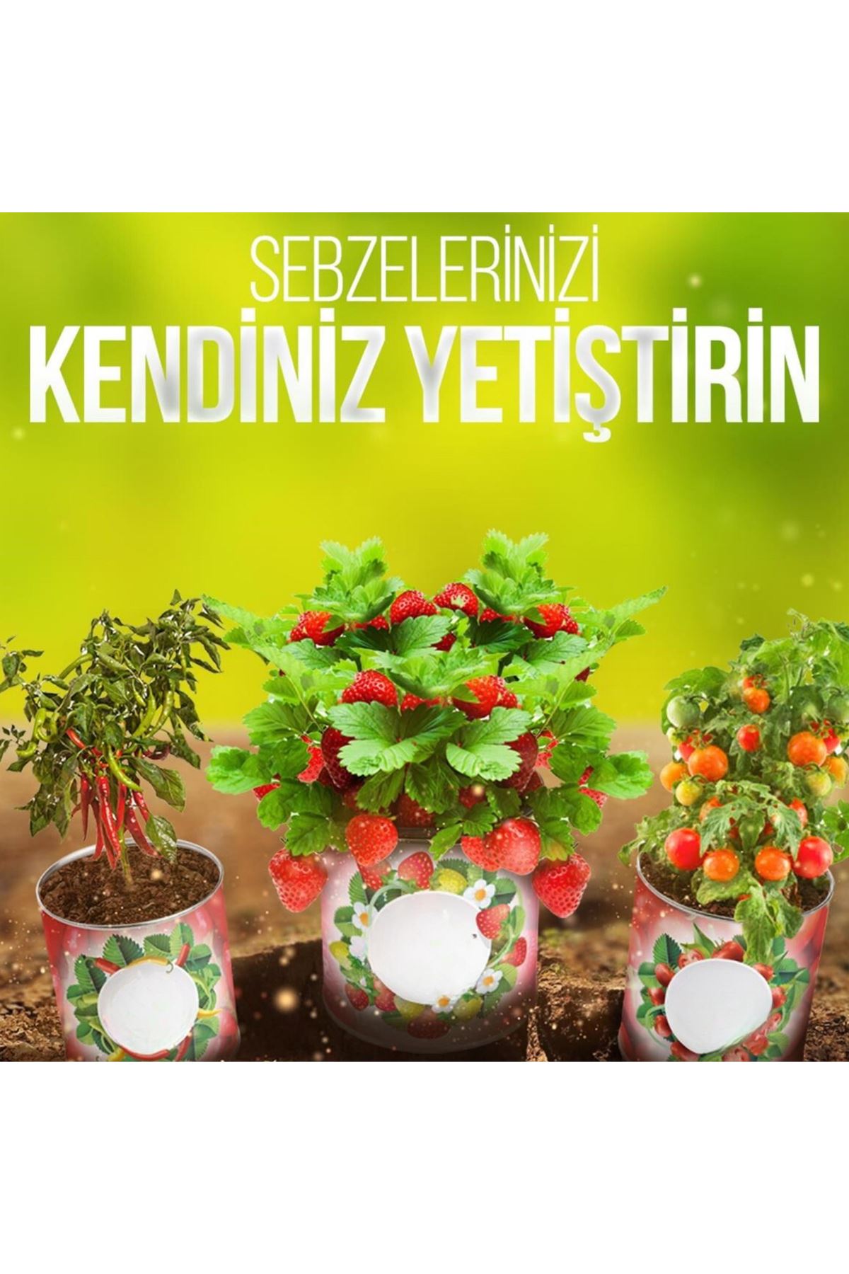 TBL Dekor® Konserve Bahçem Evde Konservede Fındık Turp Yetiştirme Kiti
