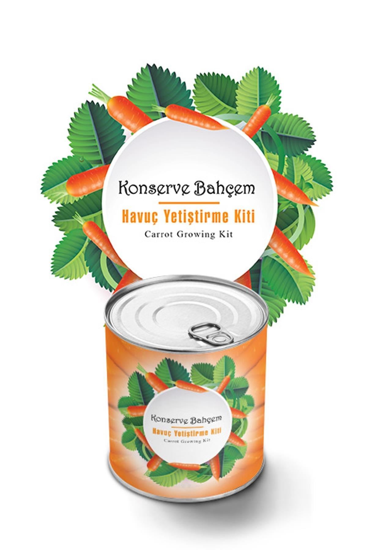 TBL Dekor® Konserve Bahçem Evde Konservede Havuç Yetiştirme Büyütme Kiti
