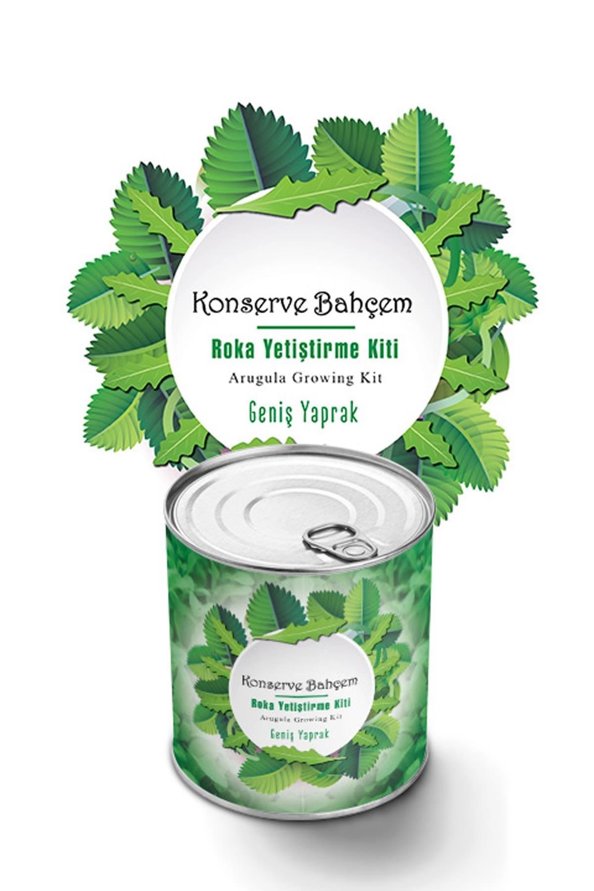 TBL Dekor® Konserve Bahçem Evde Konservede İri Yapraklı Roka Yetiştirme Kiti