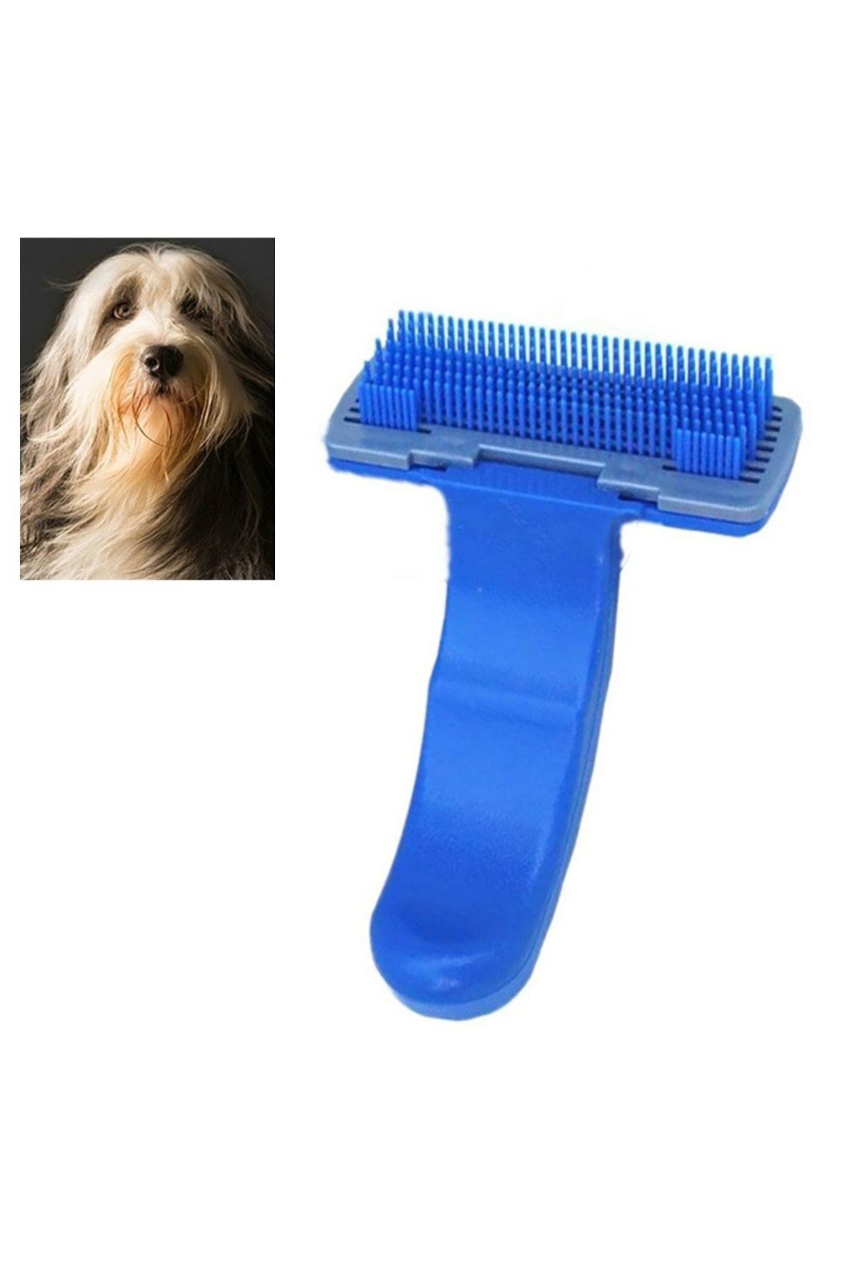 TBL Dekor® Kendini Temizleyen Kedi Köpek Tüy Bakım Tarağı Tüy Alıcı Tarak