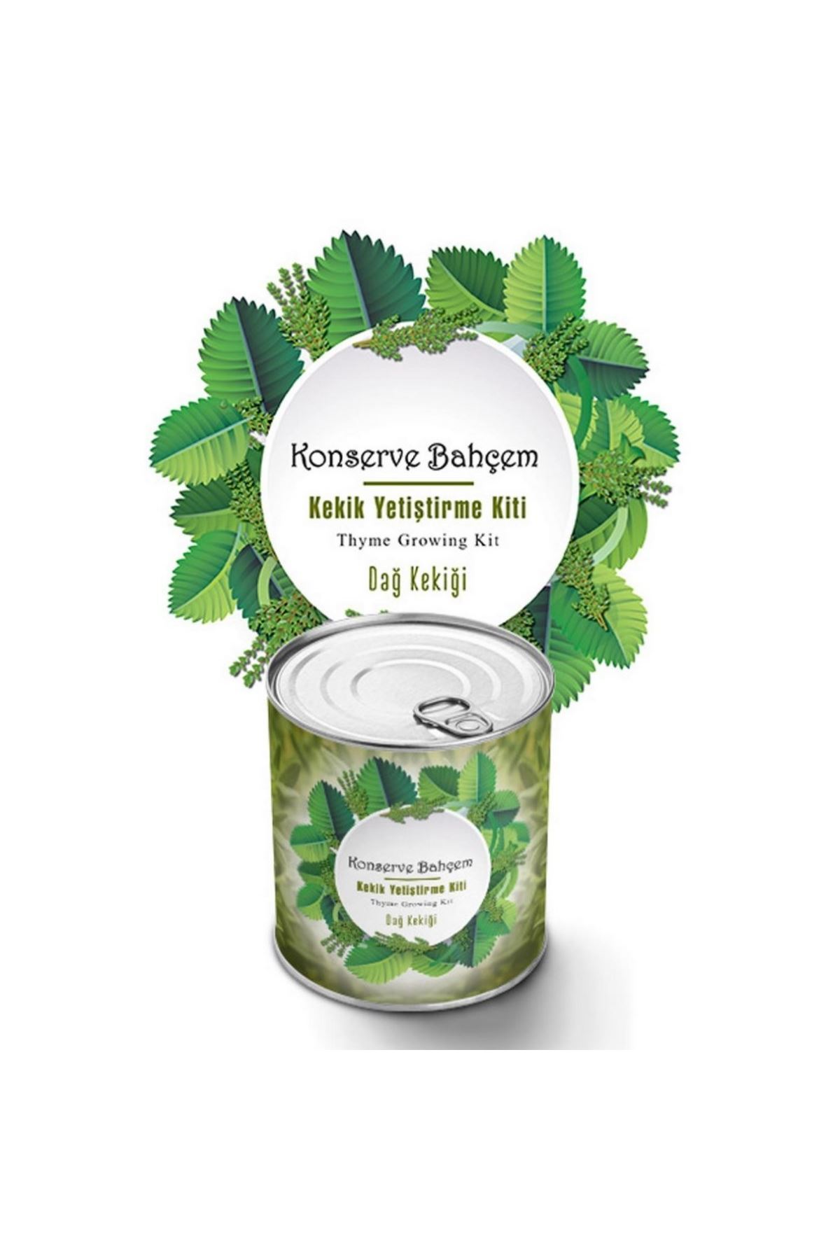TBL Dekor® Konserve Bahçem Evde Konservede Kekik Dağ Kekiği Yetiştirme Kiti