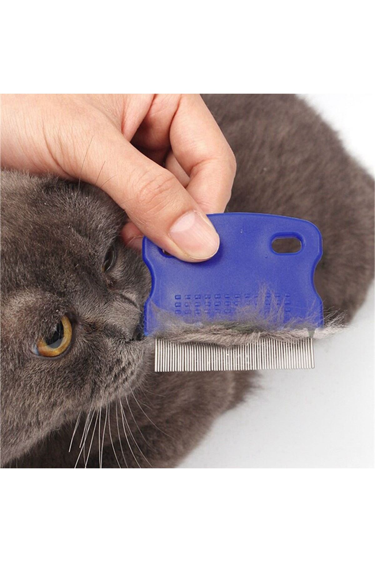 TBL Dekor® Evcil Hayvan Kedi Köpek Pire Tarağı ve Köpek Gözyaşı Lekesi Tarağı