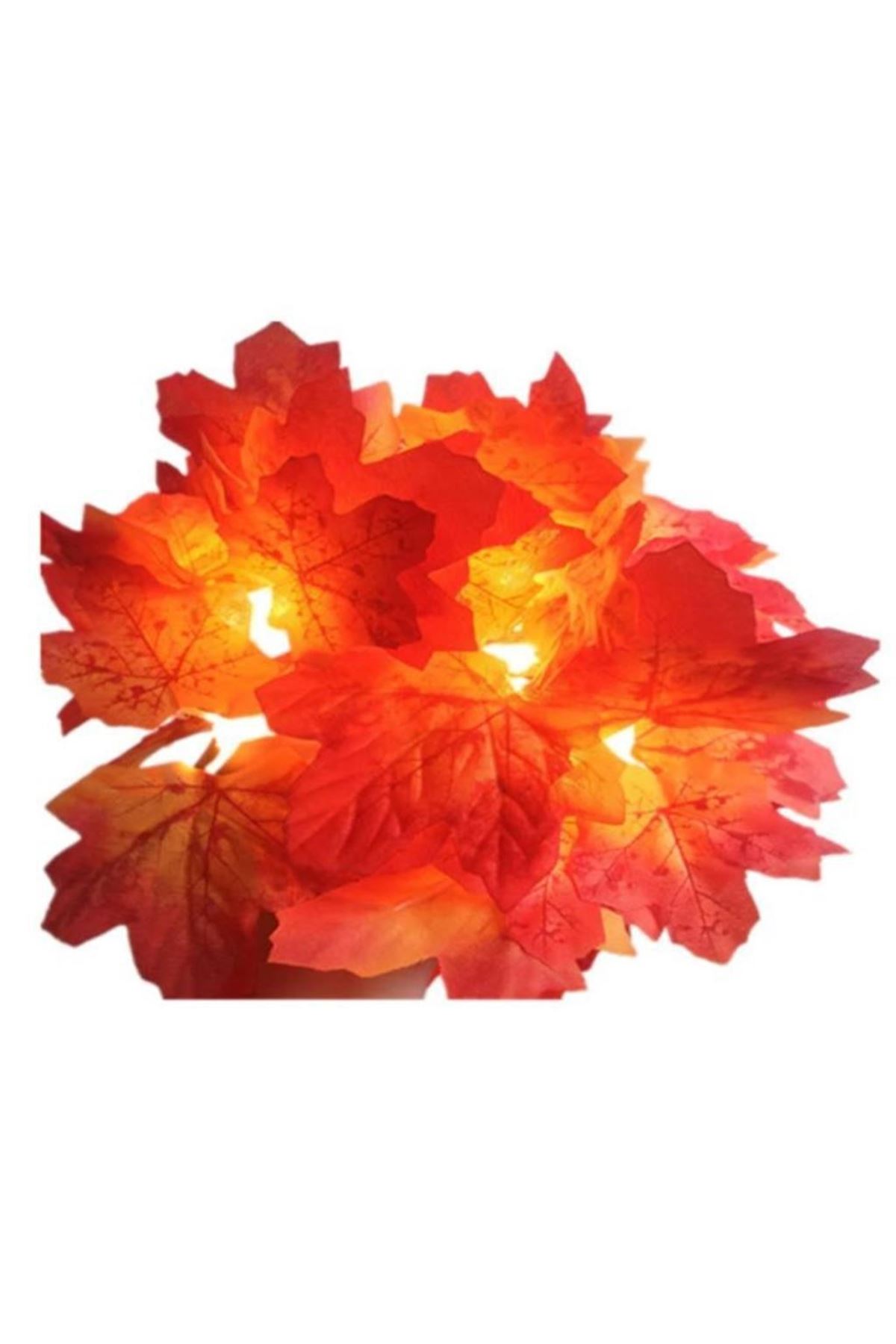 TBL Dekor® Sonbahar Konseptli Dekoratif Yaprak Desenli Şerit Led Gece Lamabası