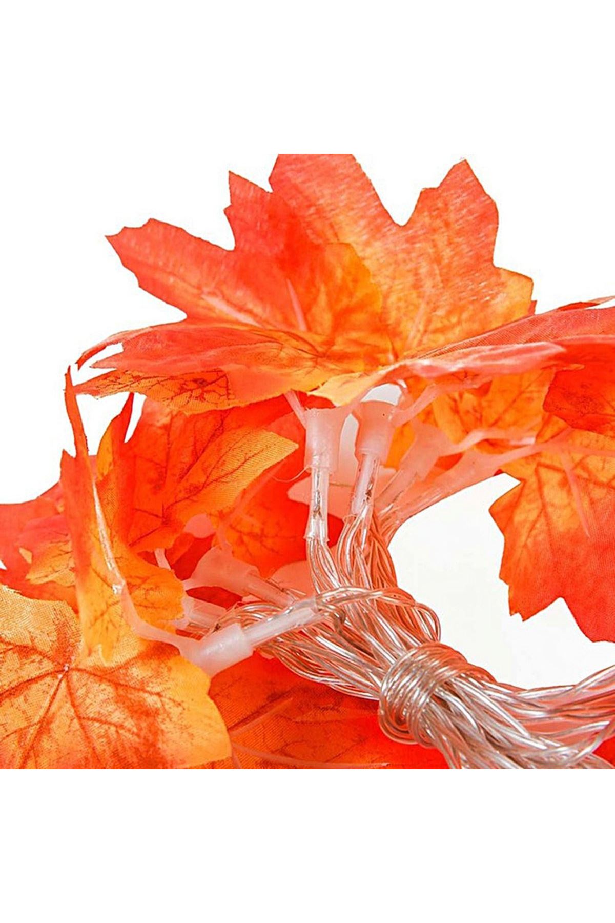 TBL Dekor® Sonbahar Konseptli Dekoratif Yaprak Desenli Şerit Led Gece Lamabası
