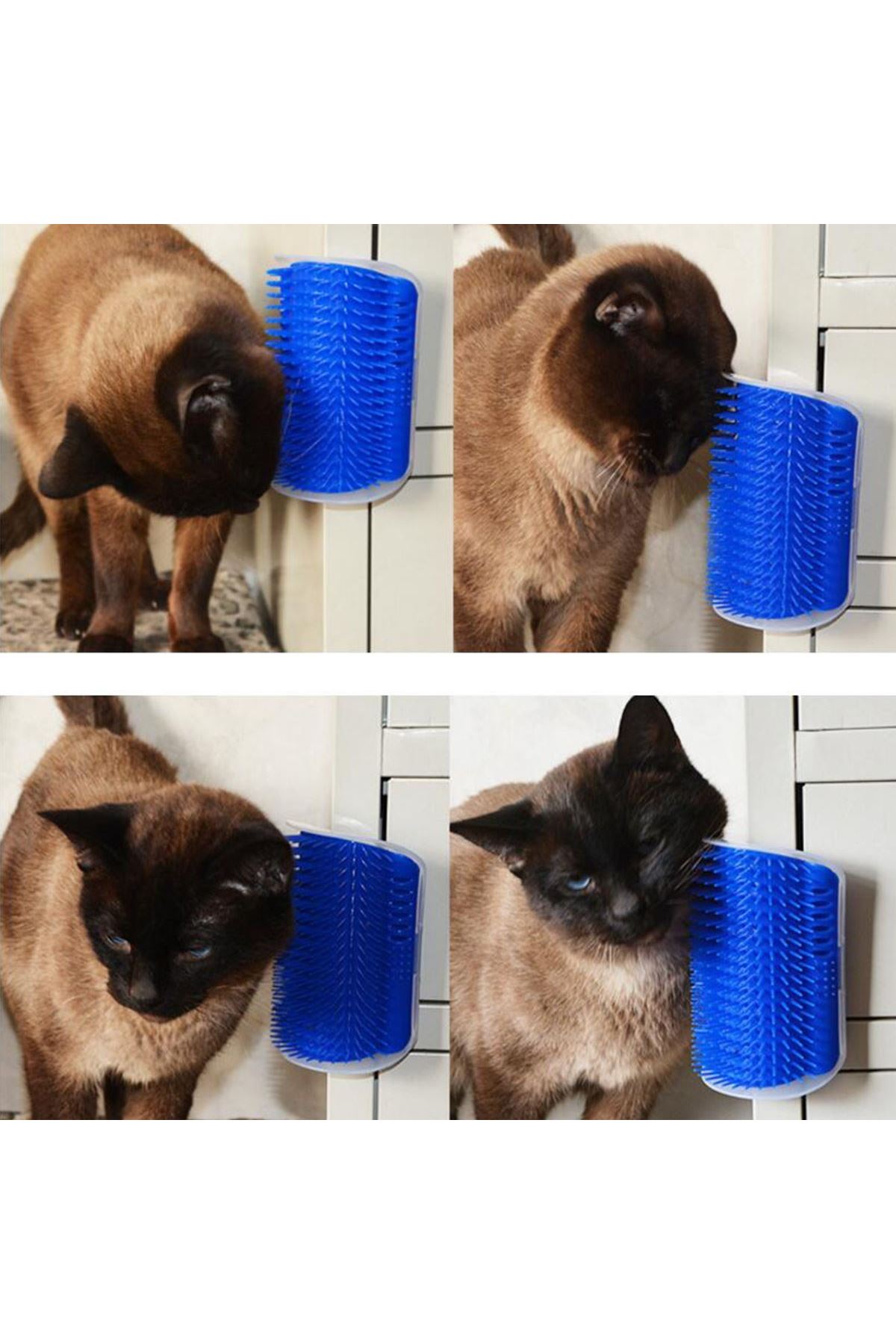 TBL Dekor®  Pratik Kedi Tüyü Kaşıma Ve Tarama Aparatı Duvara Monte Kaşıma Aleti