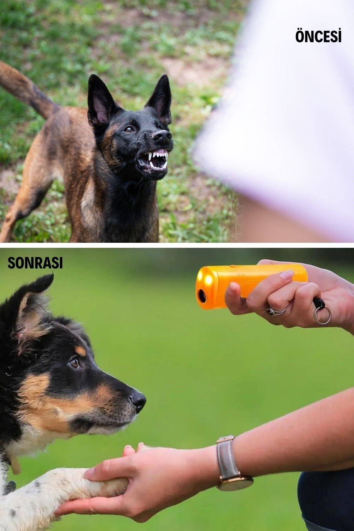 TBL Dekor® Ultrasonik Köpeksavar Köpek Kovucu Köpek Kornası Eğitim Cihazı