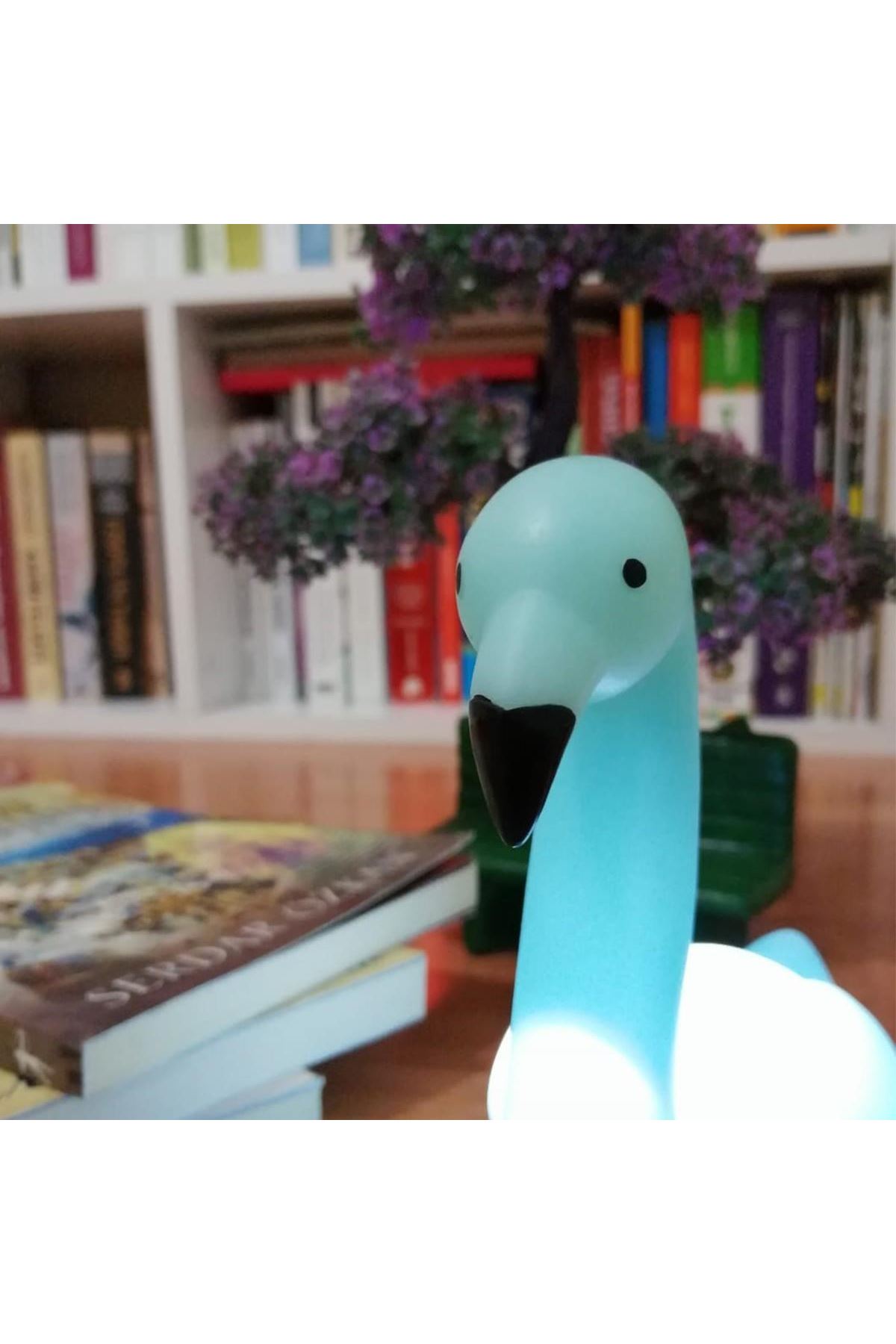 TBL Dekor® Dekoratif Işık Altında Renk Değiştiren pilli Kuğu Gece Lambası