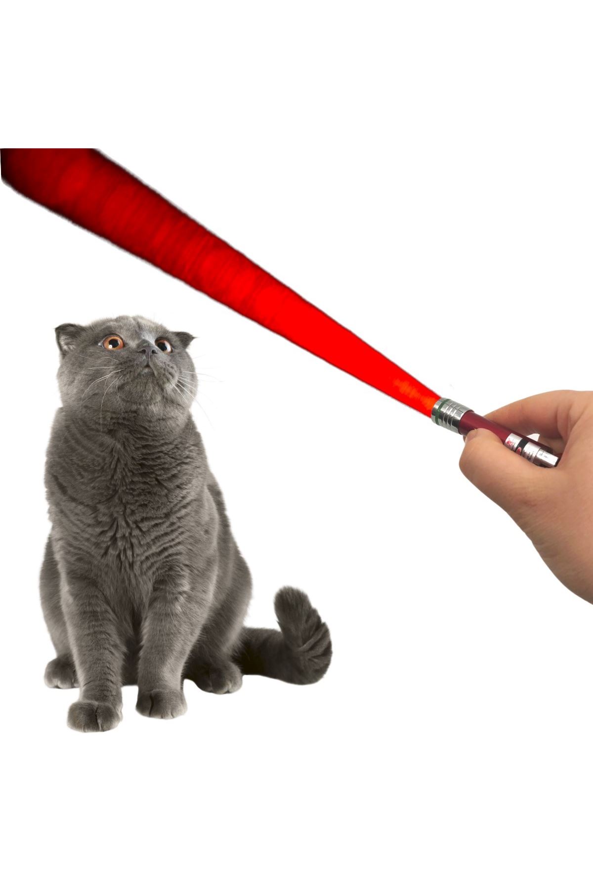 TBL Dekor®  3 Fonksiyonlu Kırmızı Beyaz Işıklı Led Lazer Kedi Köpek Oyuncak Anahtarlık