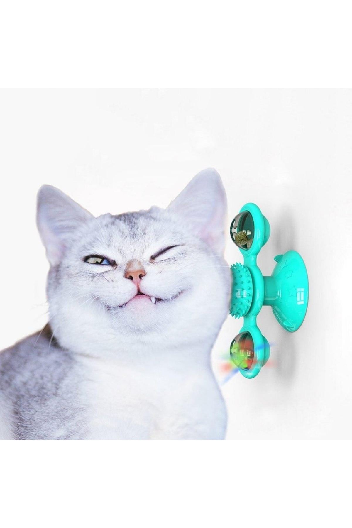 TBL Dekor® Pet Malzemeleri Vantuzlu Fırıldak Toplu Dönen Şeffaf Depo Tasarım İnteraktif Kedi Oyuncağı