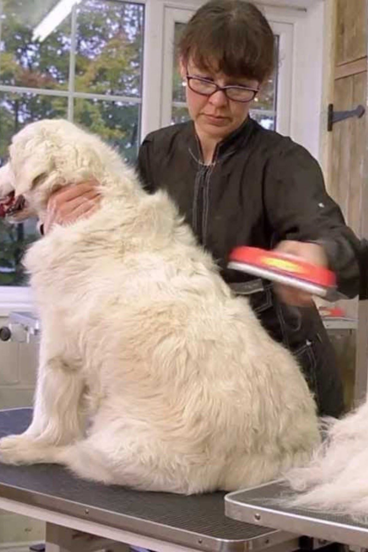 TBL Dekor® 23 KG Üzeri Uzun Tüylü Köpekler İçin Tüy Toplayıcı Ergonomik Tarak