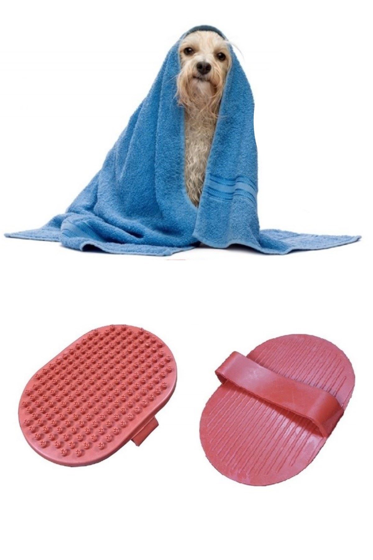 TBL Dekor® Ergonomik Masajlı Evcil Hayvan Kedi Köpek Yıkama Fırçası Aparatı