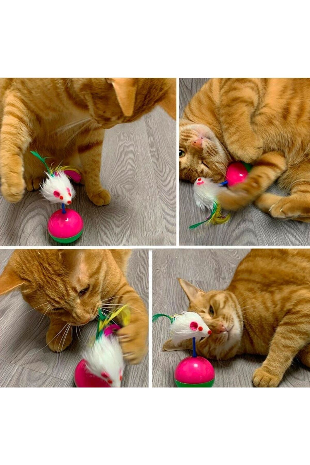 TBL Dekor® Kedi Oyun Topu Tüylü Fareli Hacı Yatmaz Eğitici Yavru Kedi Fare Kovalama Oyuncağı