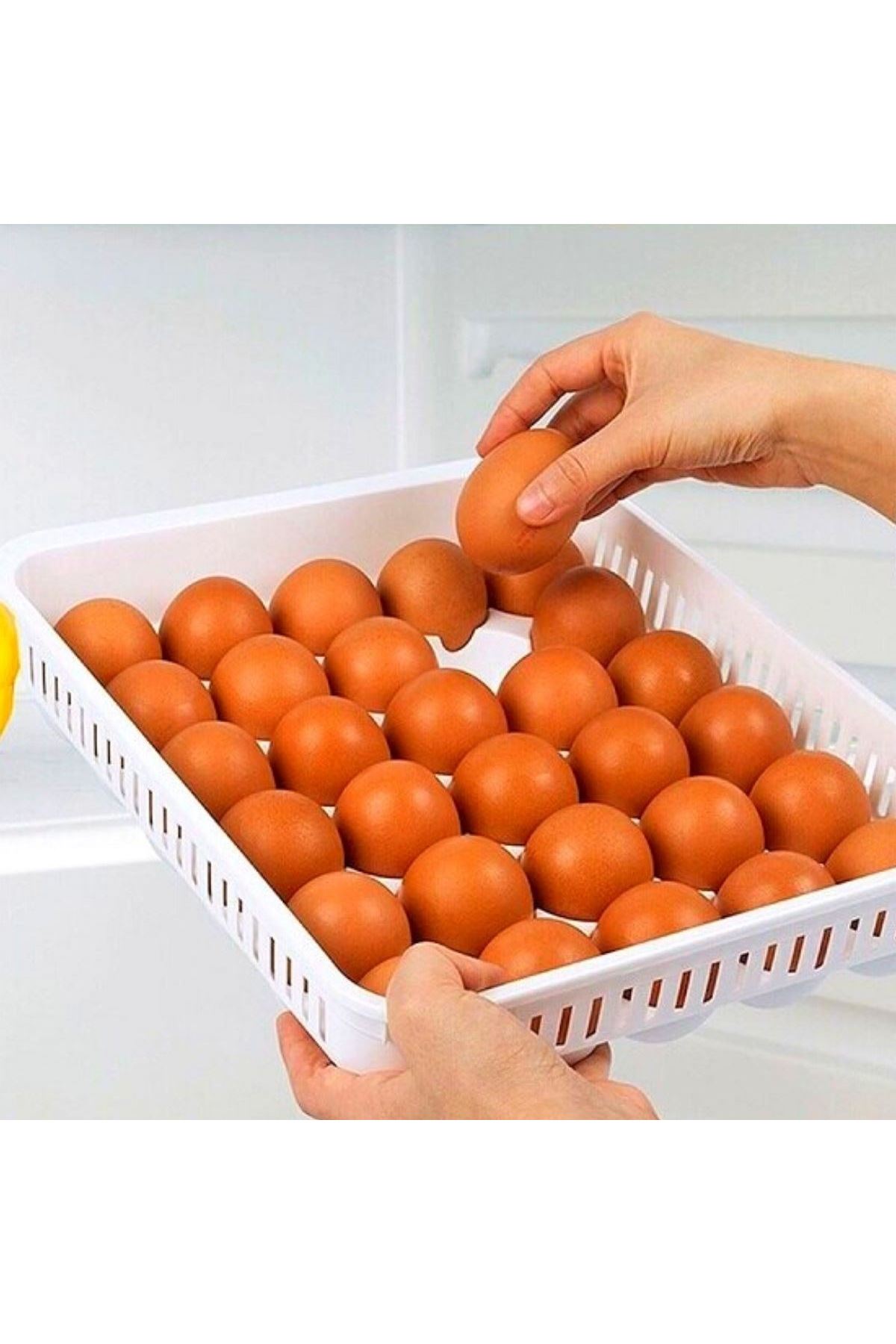 TBL Dekor® 15liYumurta Saklama Kabı