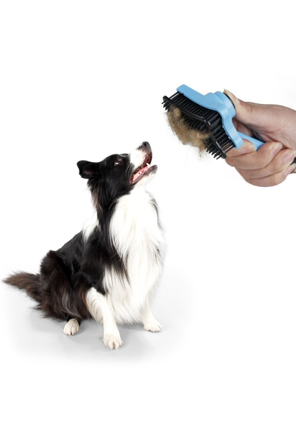 TBL Dekor® Evcil Hayvan Kedi Köpek Tüy Toplayıcı Otomatik Tuşlu Pet Tarak