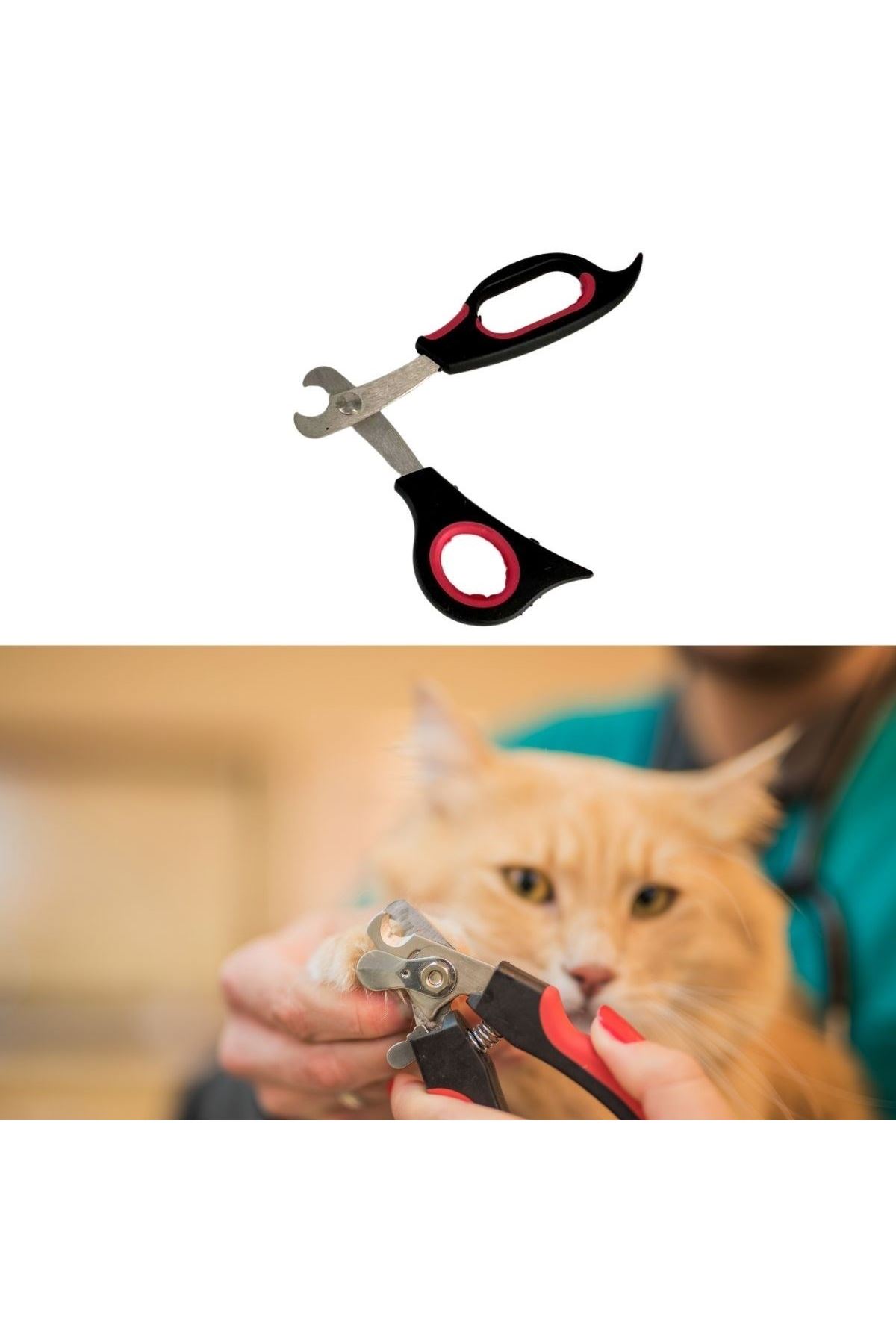 TBL DekorBüyük Irk Köpek Kedi Çelik Uçlu Evcil Hayvan Tırnak Makası Pati Bakım Aleti Ergonomik Kaymaz