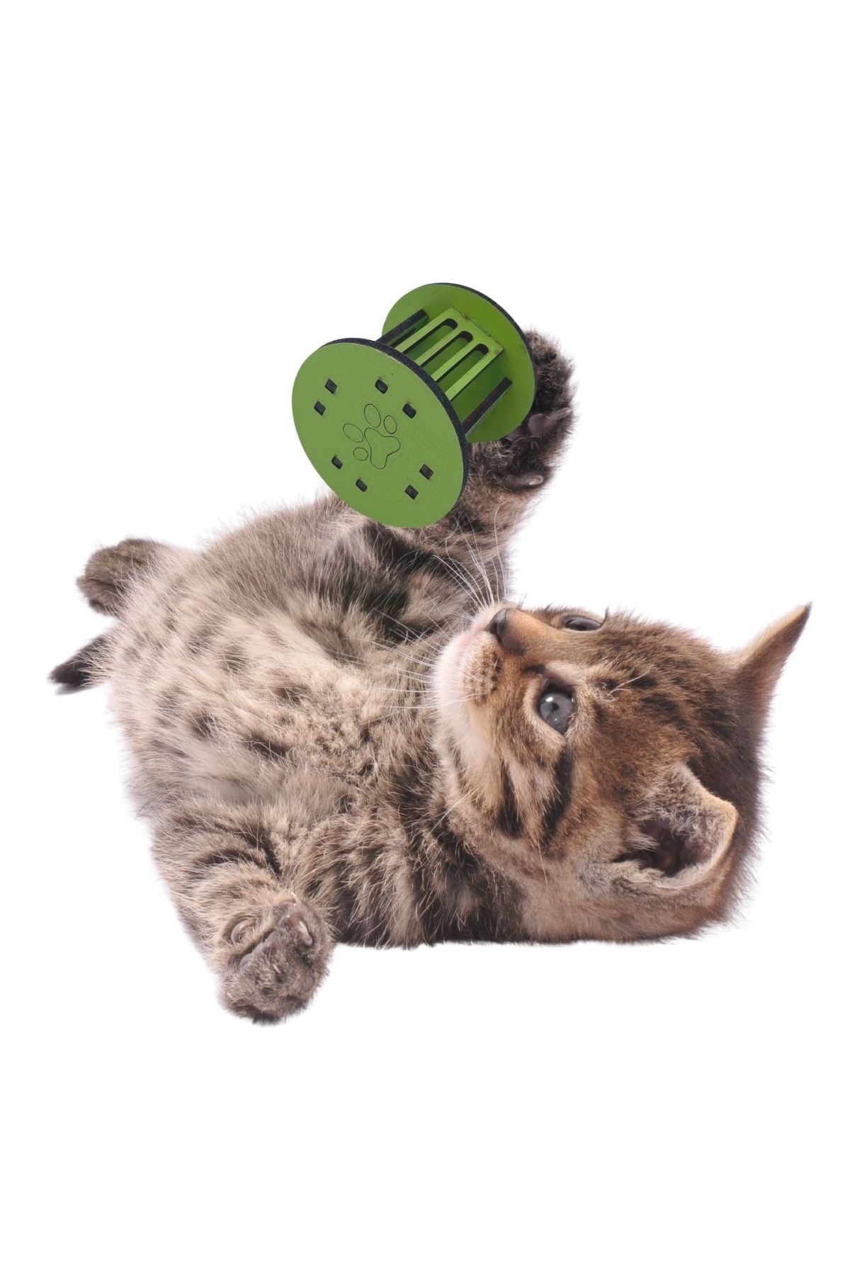 TBL Dekor®  Mini Silindir Eğlenceli Renkli Sağlam Küçük Pati İzi Şekilli Kedi Oyuncağı