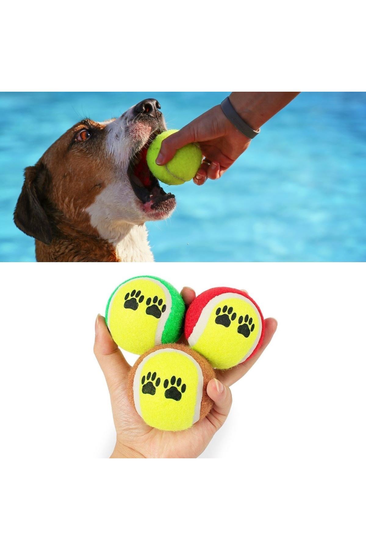 TBL Dekor®  3lü Renkli Desenli Tenis Topu Kedi Köpek Oyuncağı