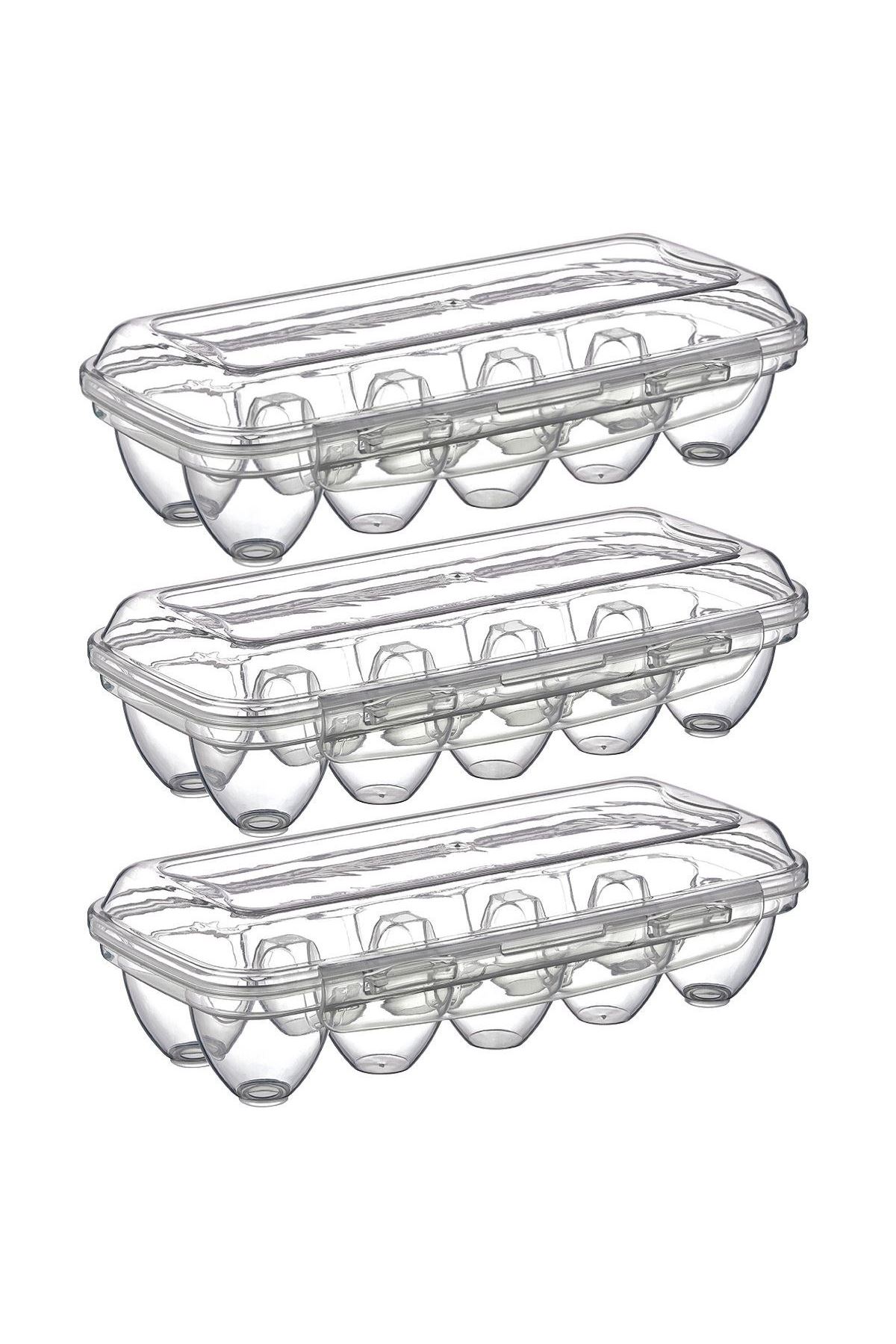 TBL Dekor® 10 Bölmeli Kilitli Kapaklı Yumurtalık Saklama Kutusu YU110