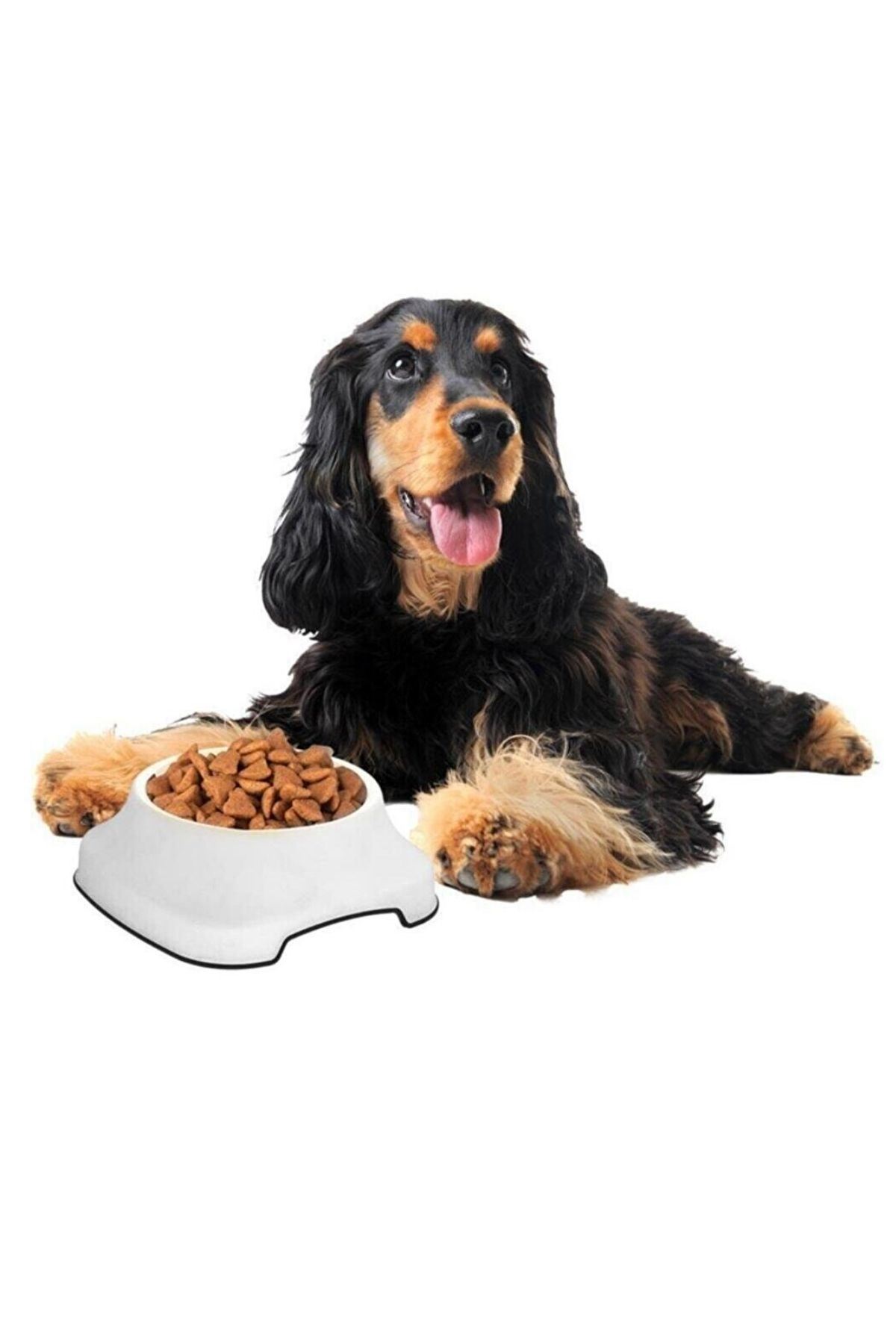 TBL Dekor® Silikon Kaydırmaz Taban Plastik Kedi ve Köpek Mama ve Su Kabı 2 L