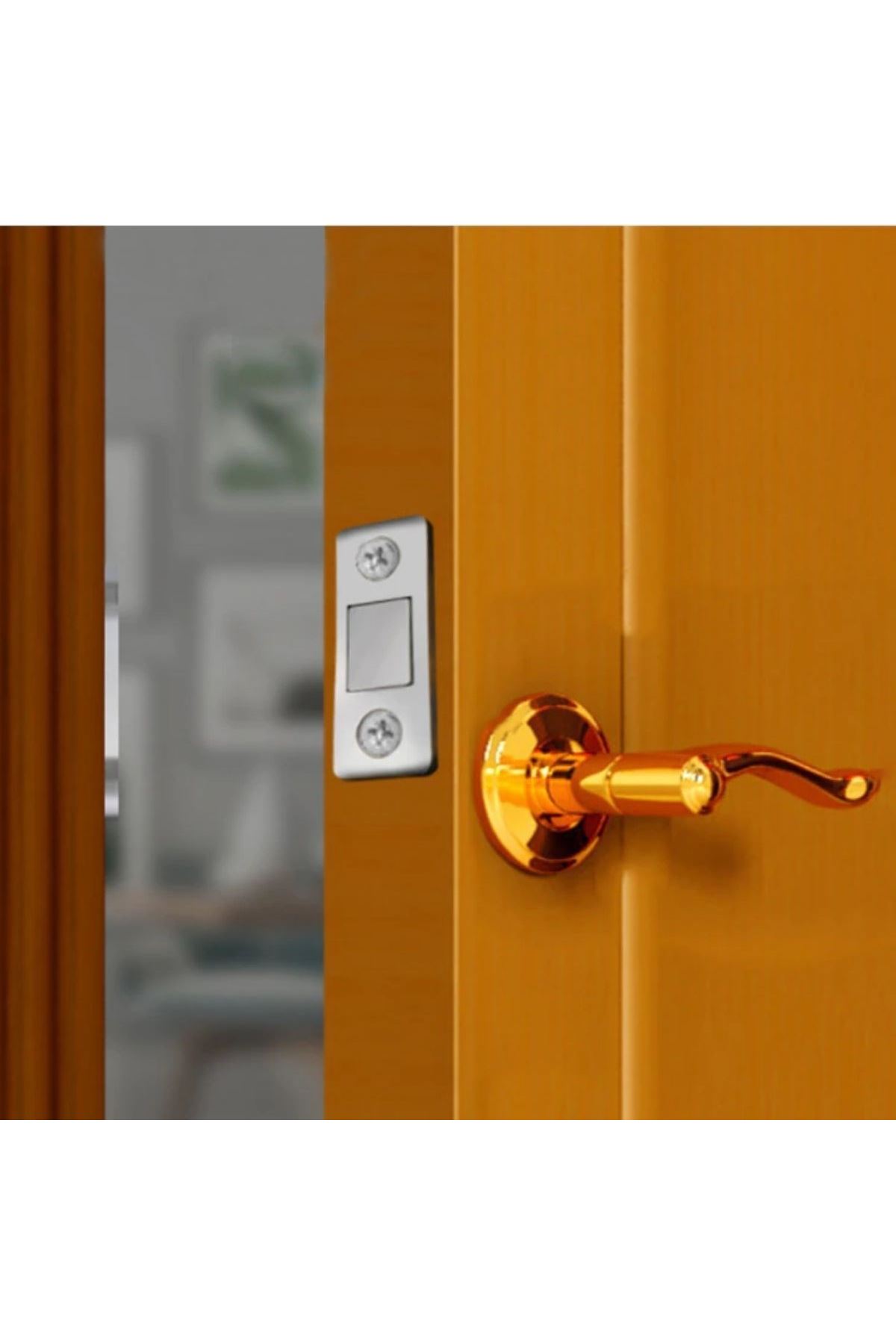 TBL Dekor® 2 Çift Çok Amaçlı Kapı Kapak Dolap Çekmece Mobilya Durdurucu Kapatıcı Mıknatıslar