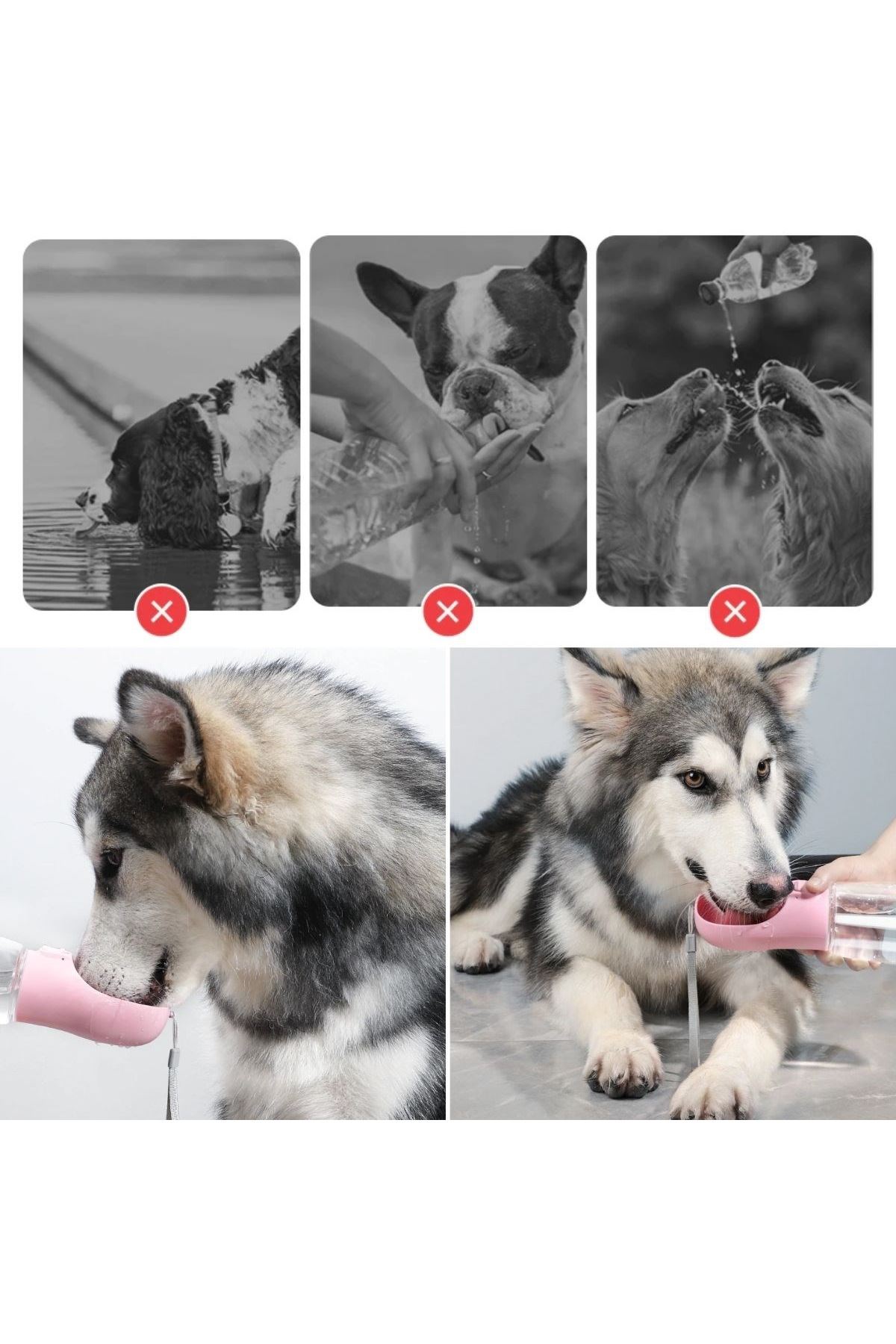 TBL Dekor® Taşınabilir Mama Hazneli Evcil Hayvan Suluğu Seyahat Kabı Kilitlenebilen Su Sızdırmaz 380ML