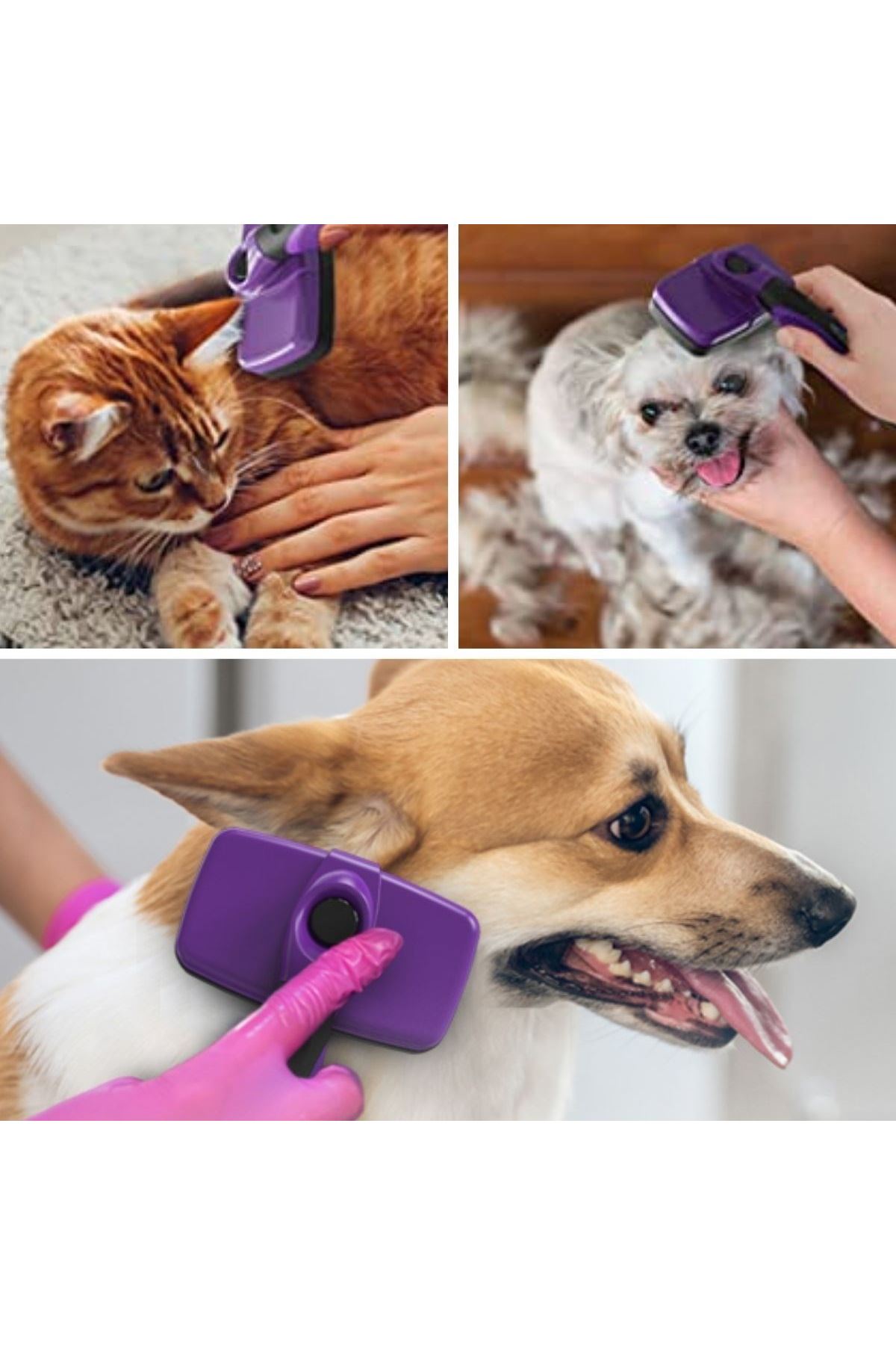 TBL Dekor®  Otomatik Temizlenebilen Tuşlu Pratik Kedi Köpek Tüy Toplama Fırçası