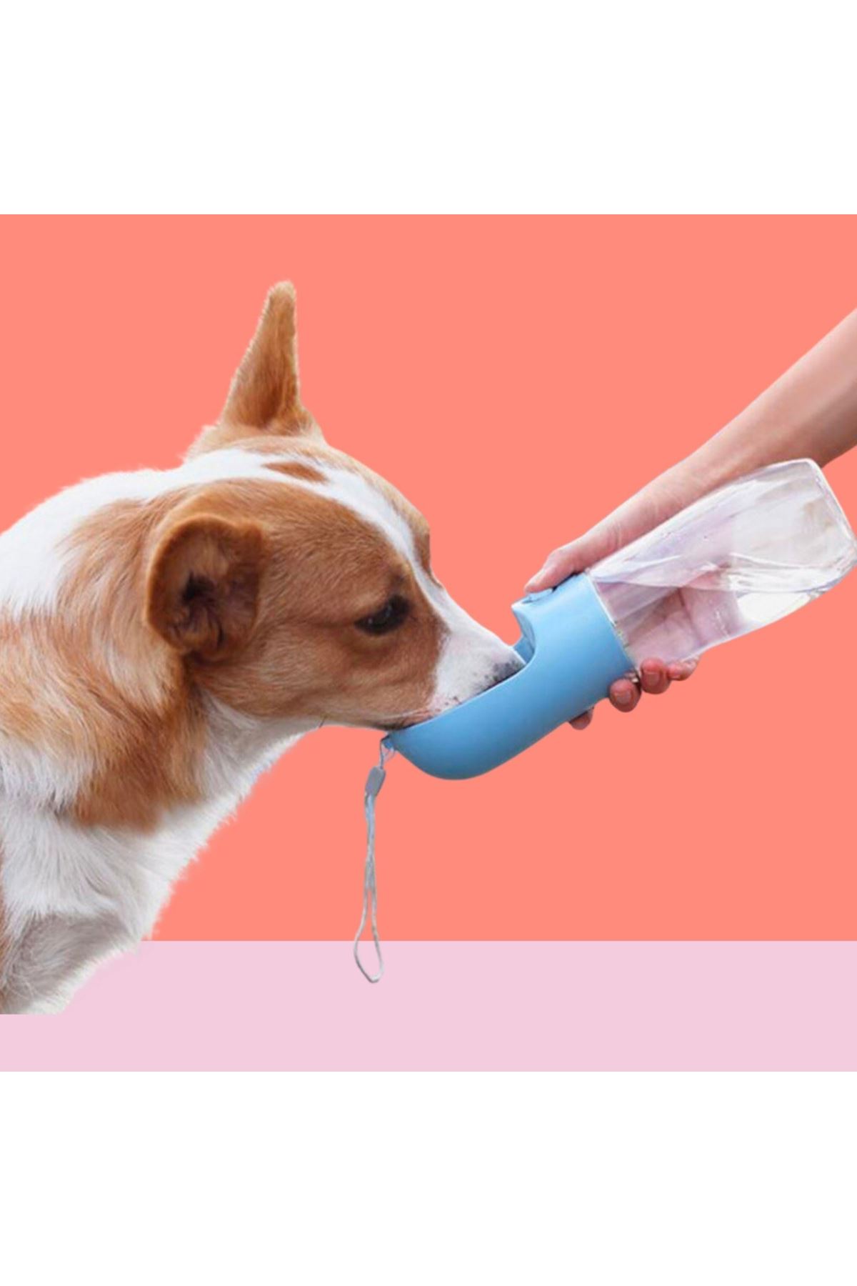 TBL Dekor® 450 ml Taşınabilir Butonlu Evcil Hayvan Suluğu