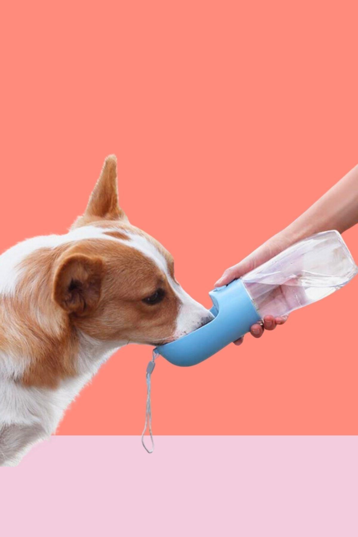 TBL Dekor® 450 ml Taşınabilir Butonlu Evcil Hayvan Suluğu