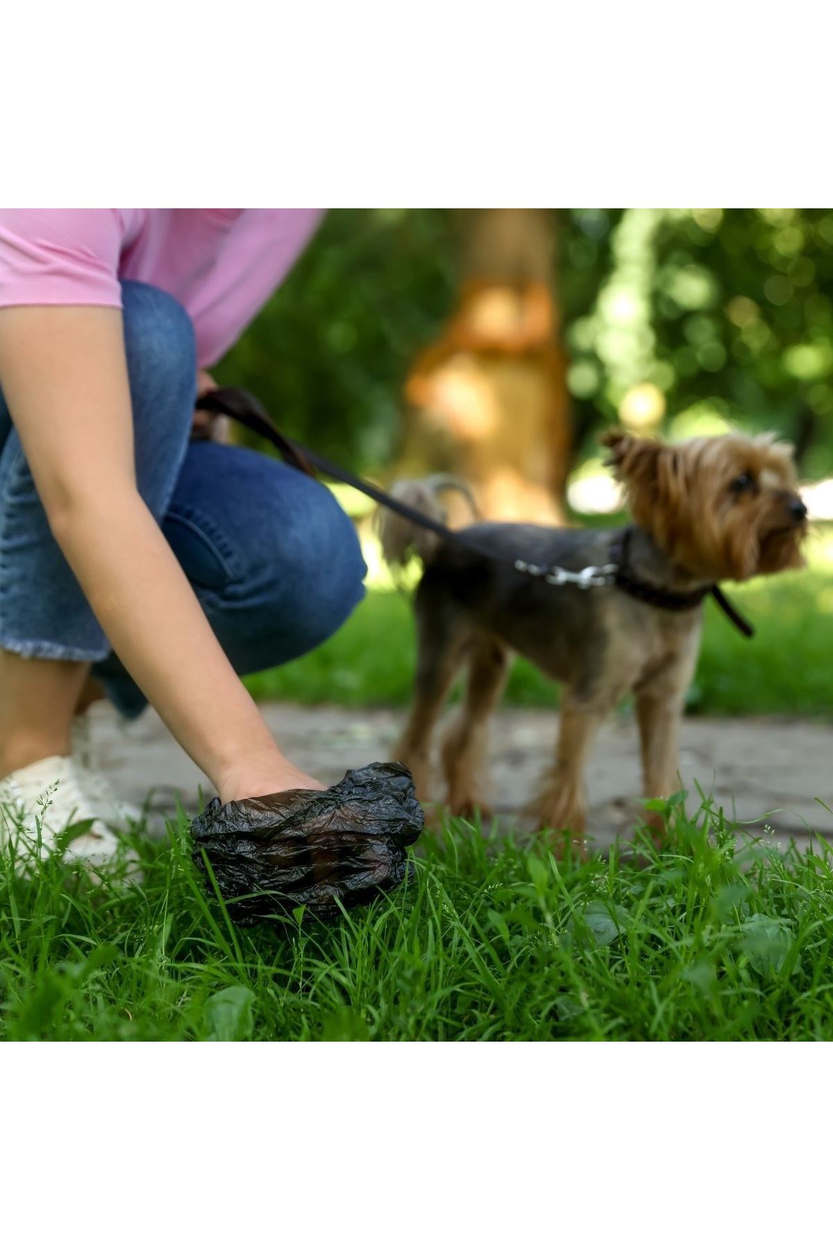TBL Dekor® 10 Adet Evcil Hayvan Kullan At Kaka Poşeti