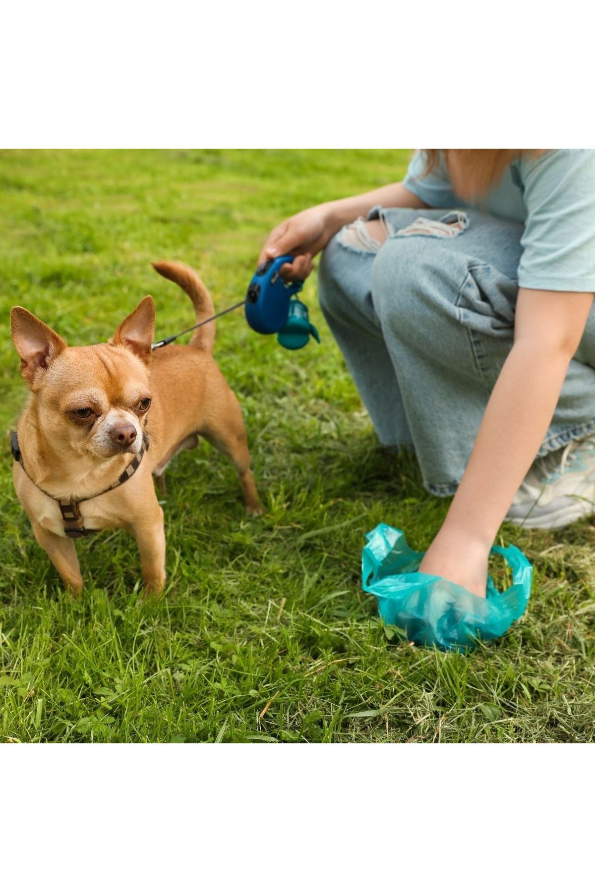 TBL Dekor® 10 Adet Evcil Hayvan Kullan At Kaka Poşeti