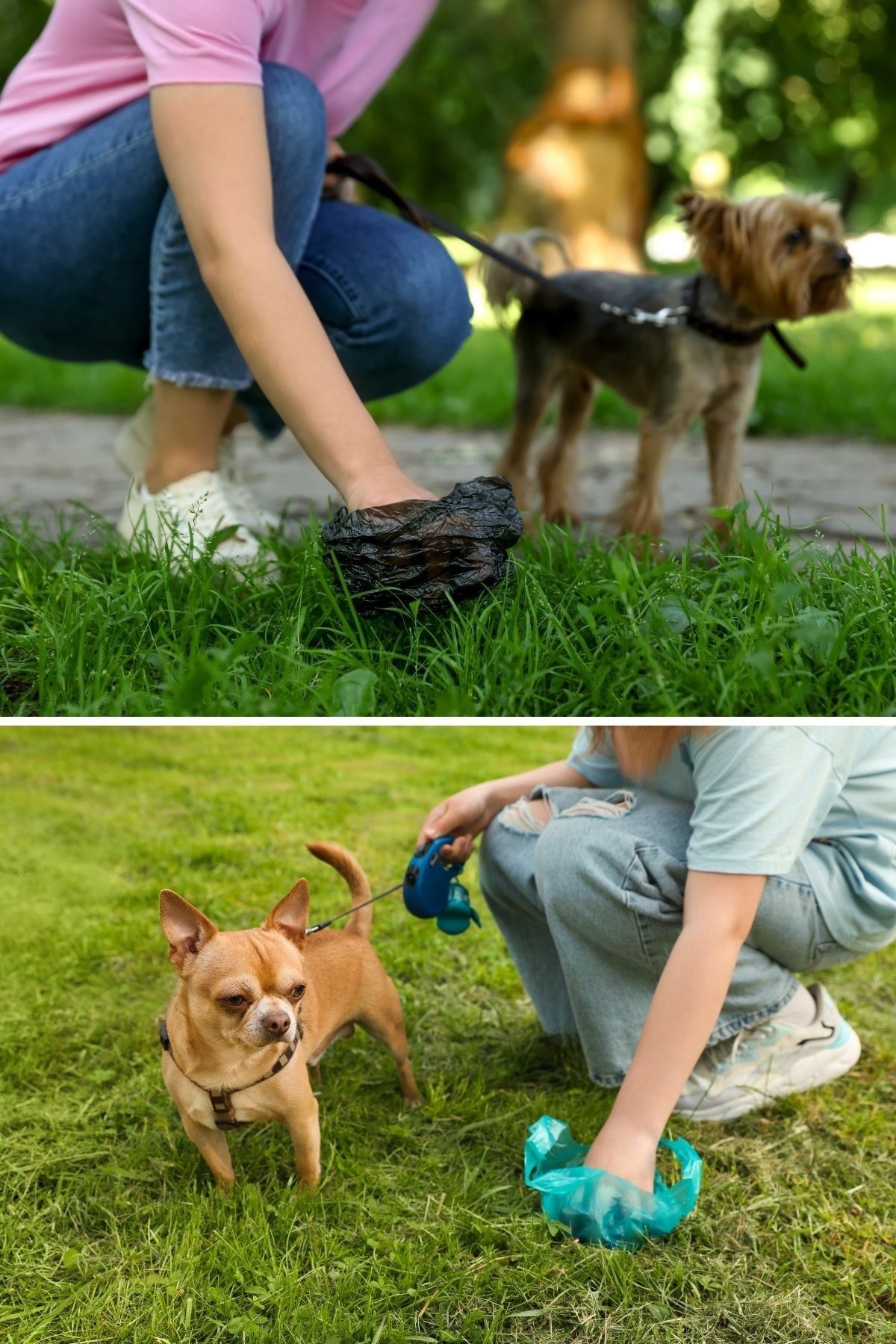 TBL Dekor® 10 Adet Evcil Hayvan Kullan At Kaka Poşeti