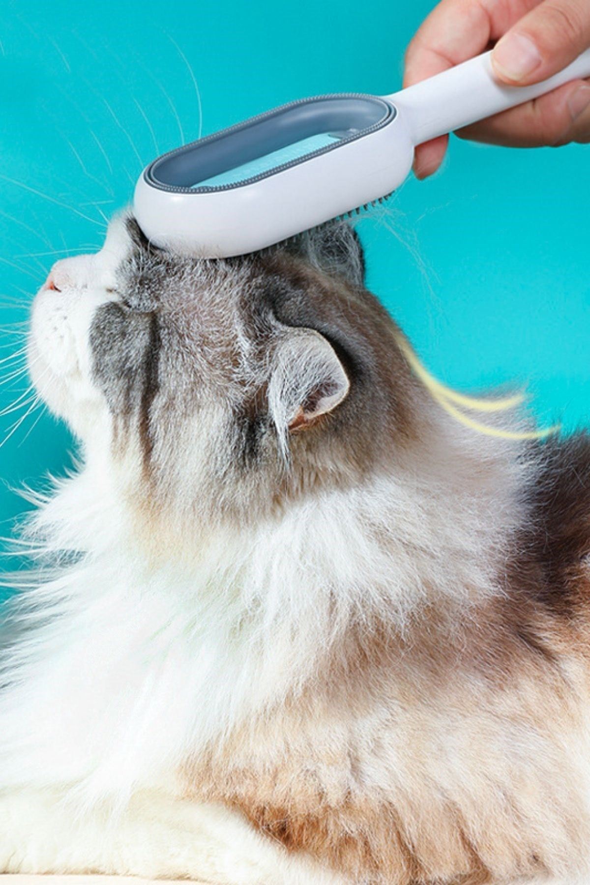 TBL Dekor® Evcil Hayvanlar İçin Çift Taraflı Pet Fırçası Nemli Tüy Tarama Tarağı