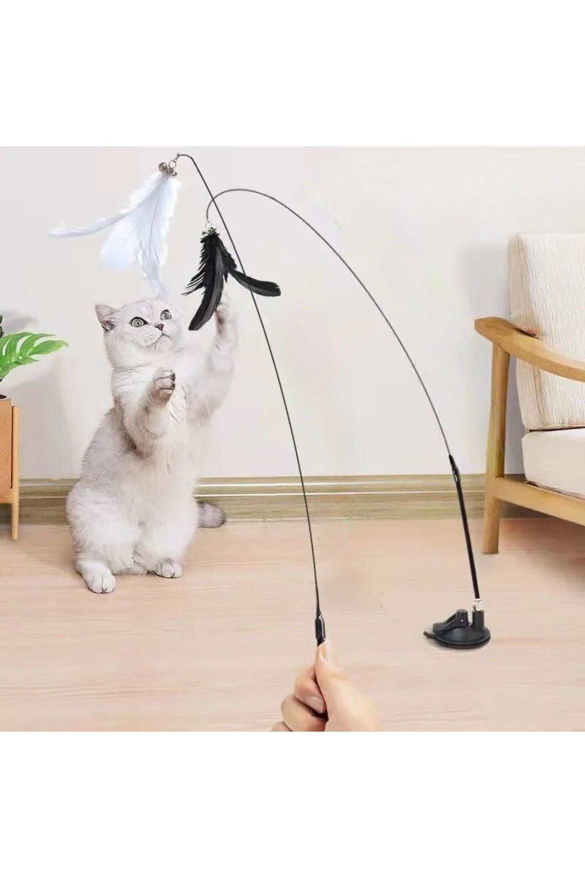 TBL Dekor® Vantuzlu Tüylü Zilli Olta Kedi Oyuncağı 2 Oltalı