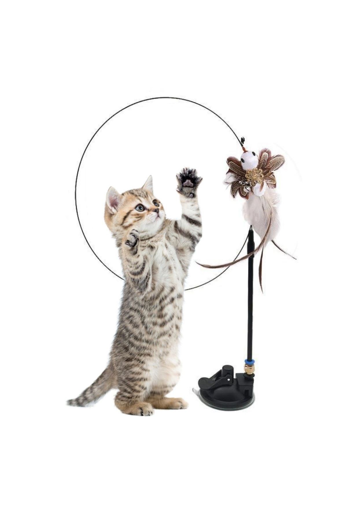 TBL Dekor® Vantuzlu Tüylü Zilli Olta Kedi Oyuncağı 2 Oltalı