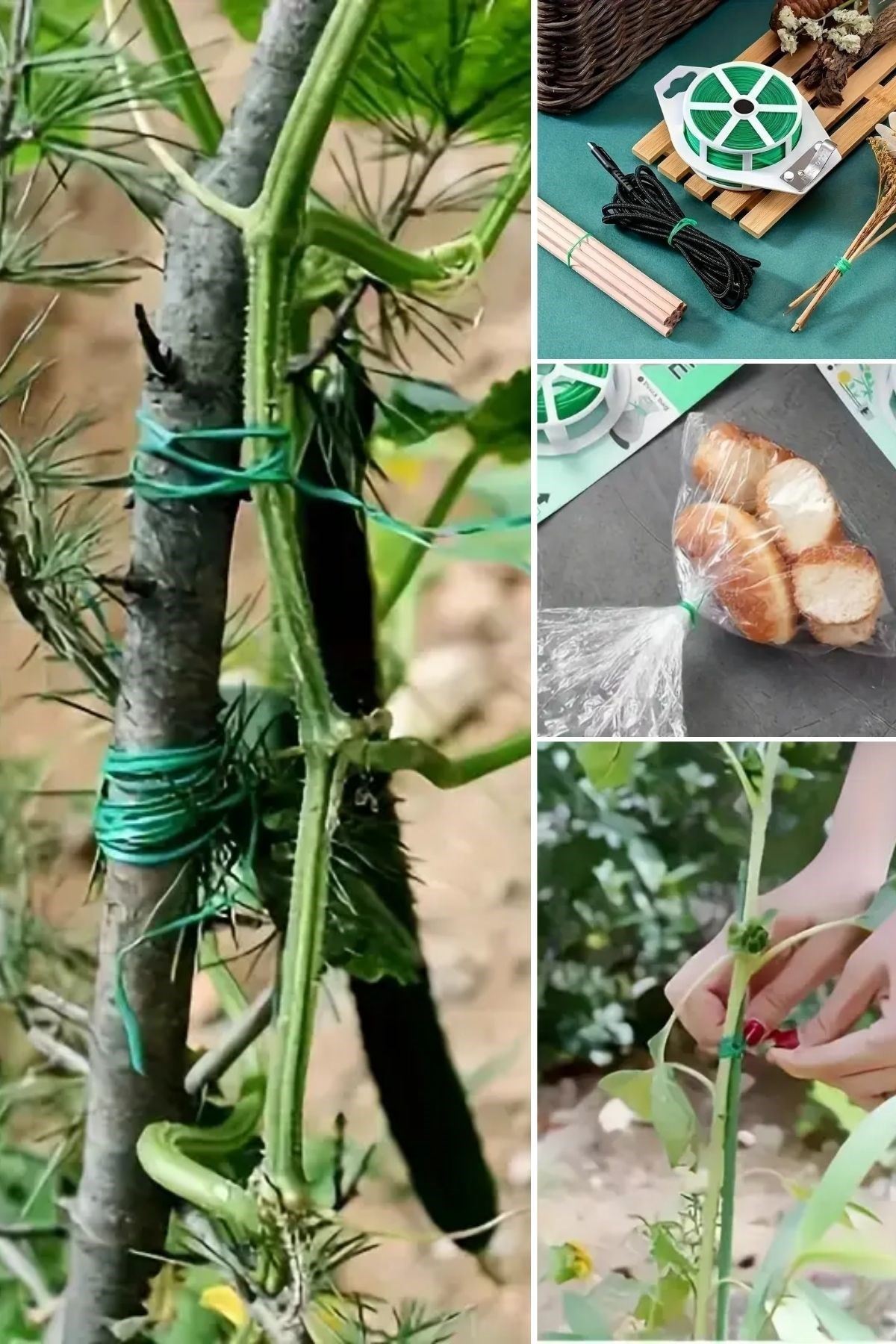 TBL Dekor® 50 Metre Kendiliğinden Kesici Bıçaklı Bitki Saksı Kablo Sabitleme Teli