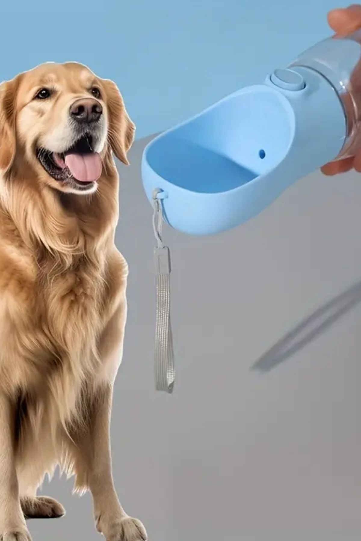 TBL Dekor® Taşınabilir Butonlu 350 ml Evcil Hayvan Suluğu